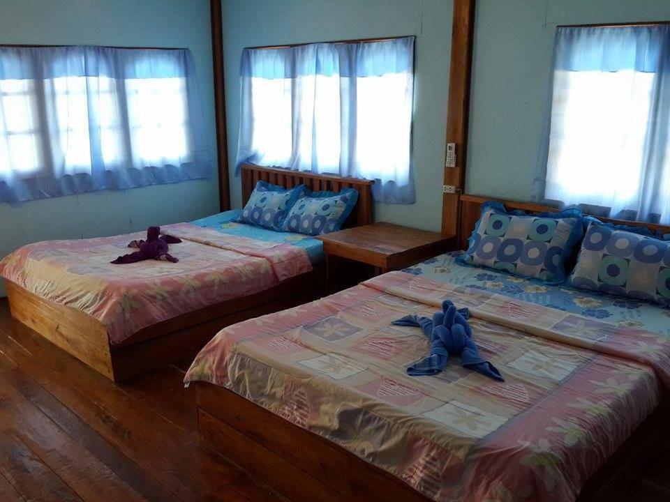 Family Bungalow photo 2