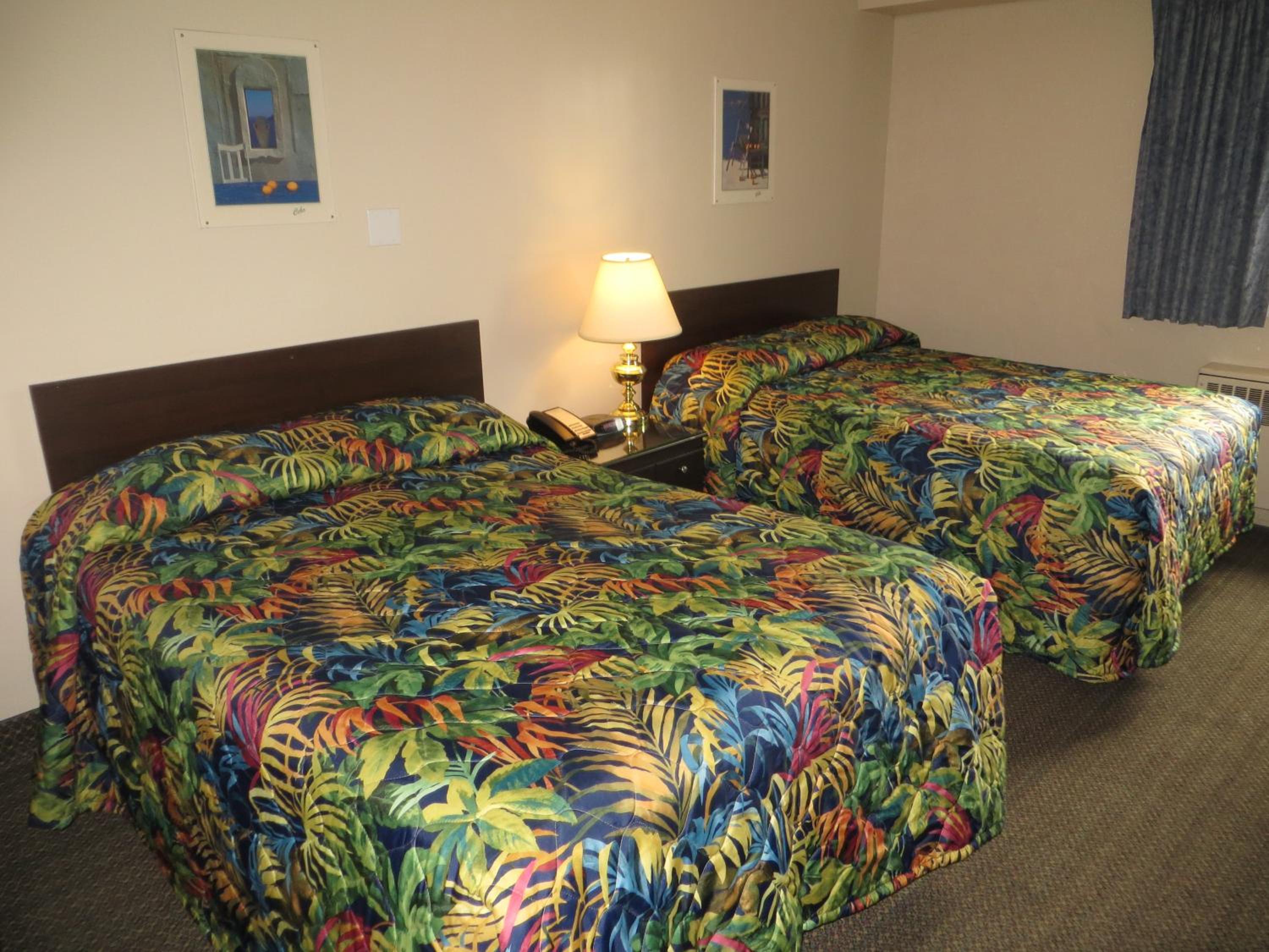 Standard Suite photo 1