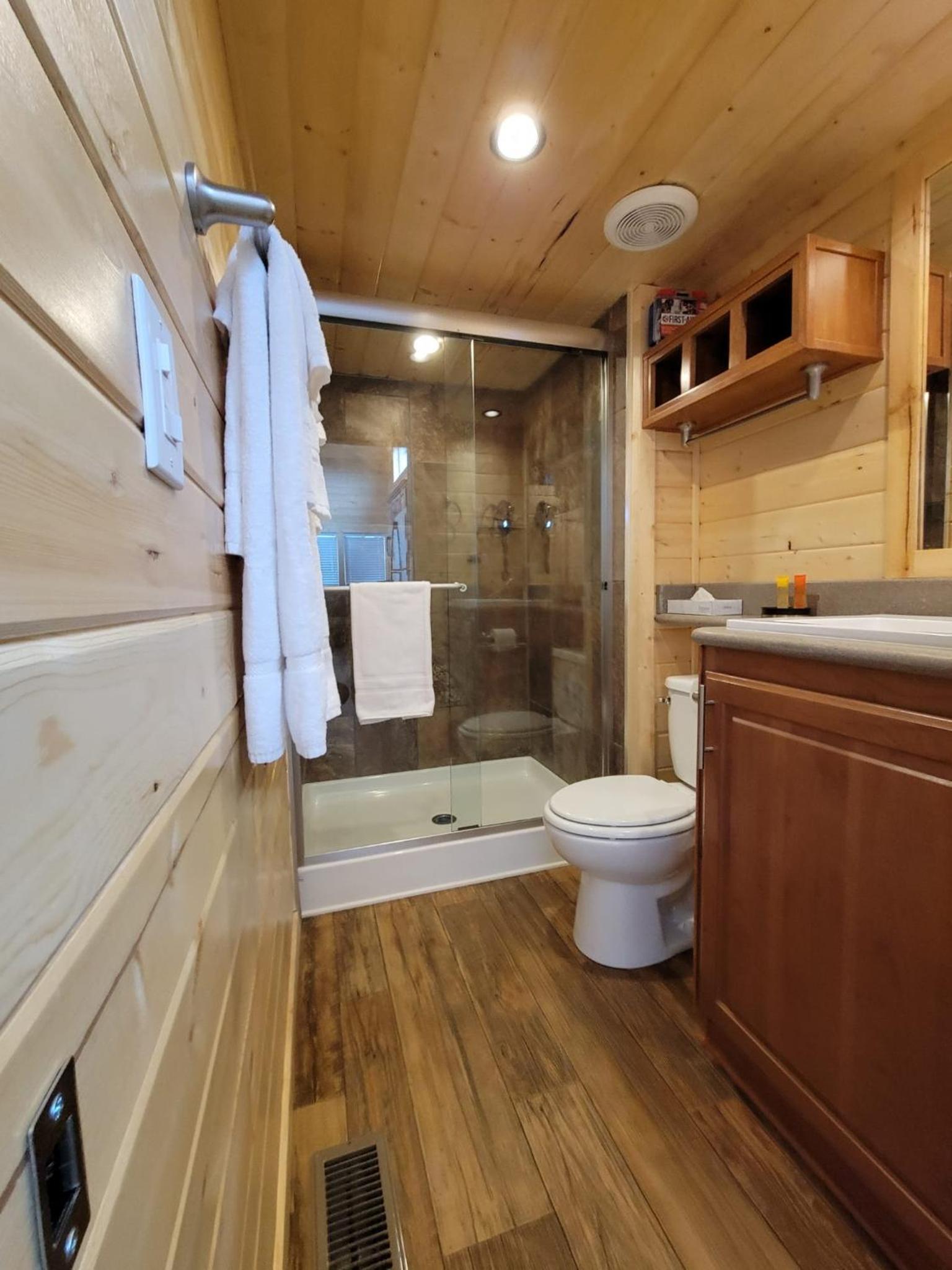 Three-Bedroom Chalet photo 3