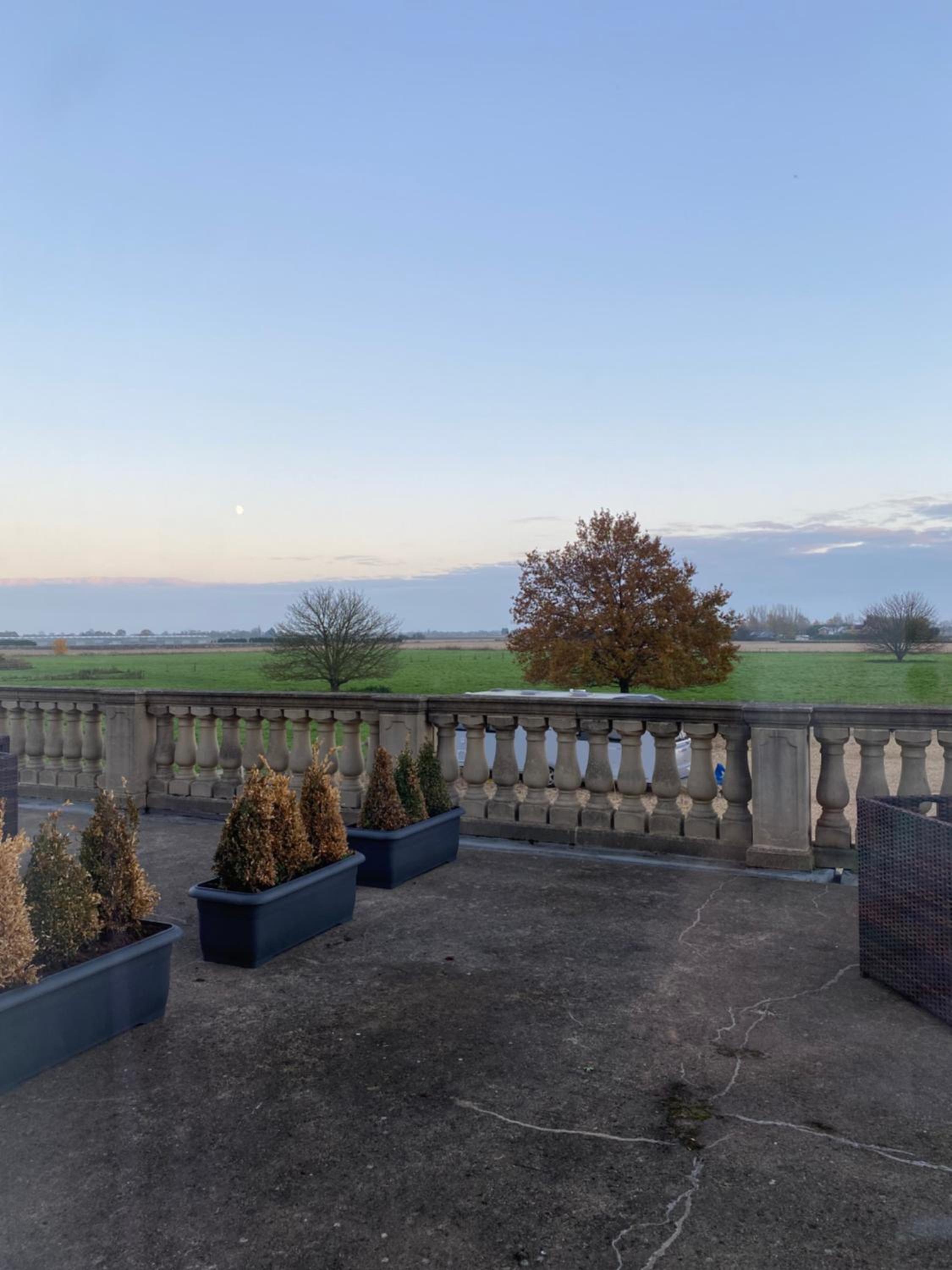 Standard King with Balcony photo 1
