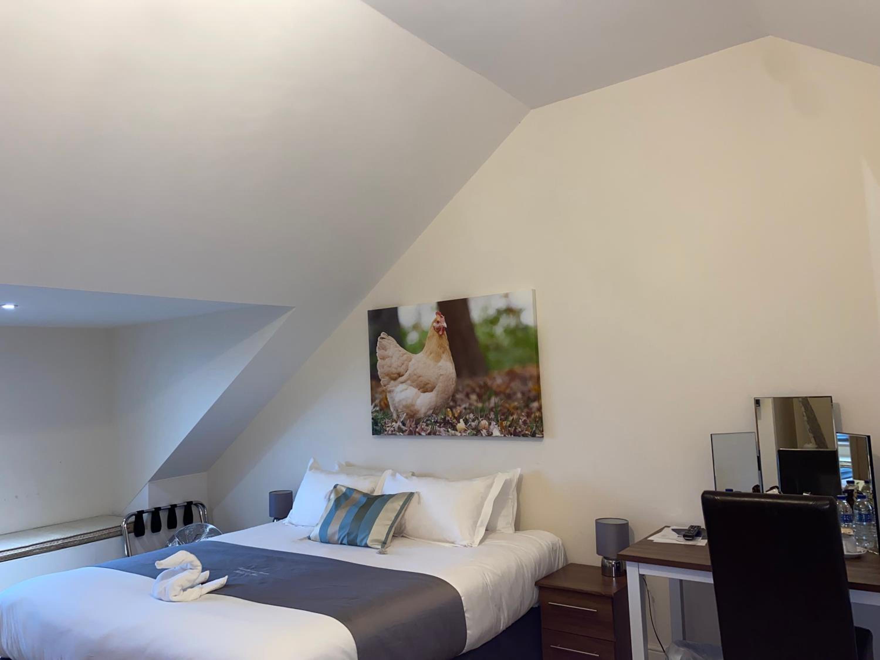 Standard King Room photo 1