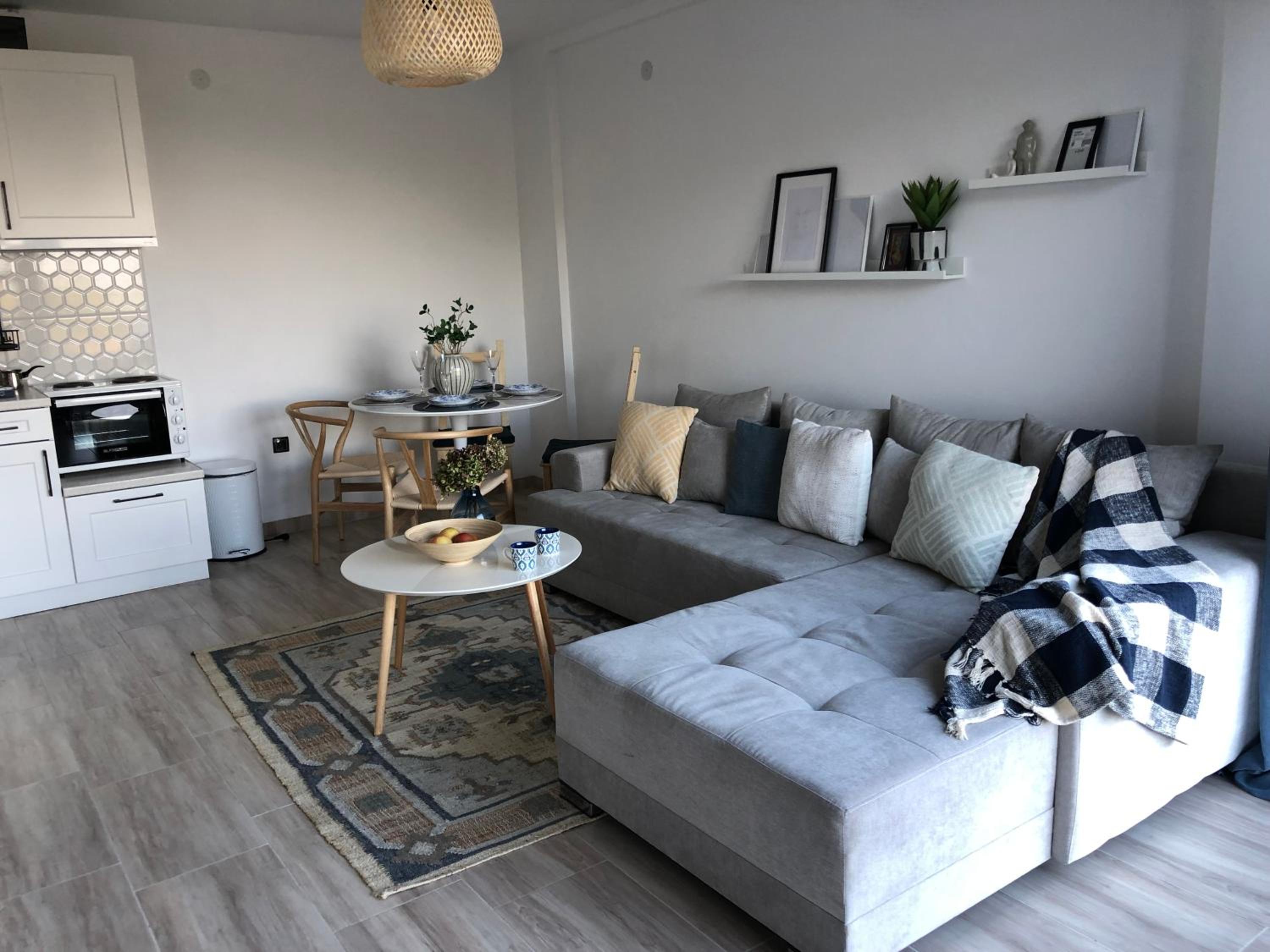 One-Bedroom Apartment photo 2