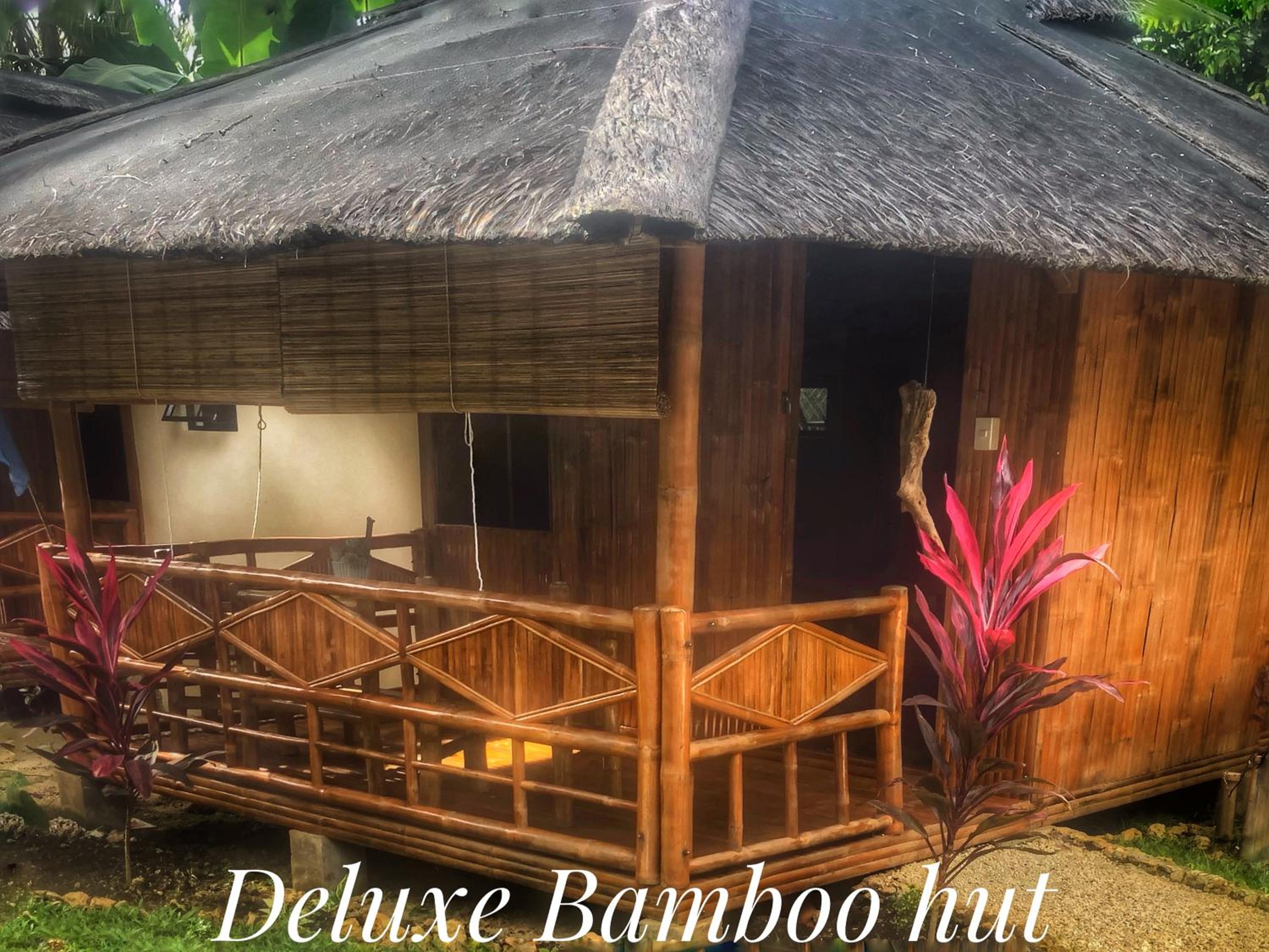 Deluxe Bungalow photo 2
