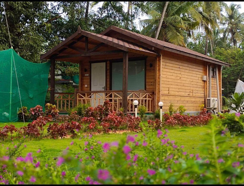 Deluxe Wooden Cottage photo 2