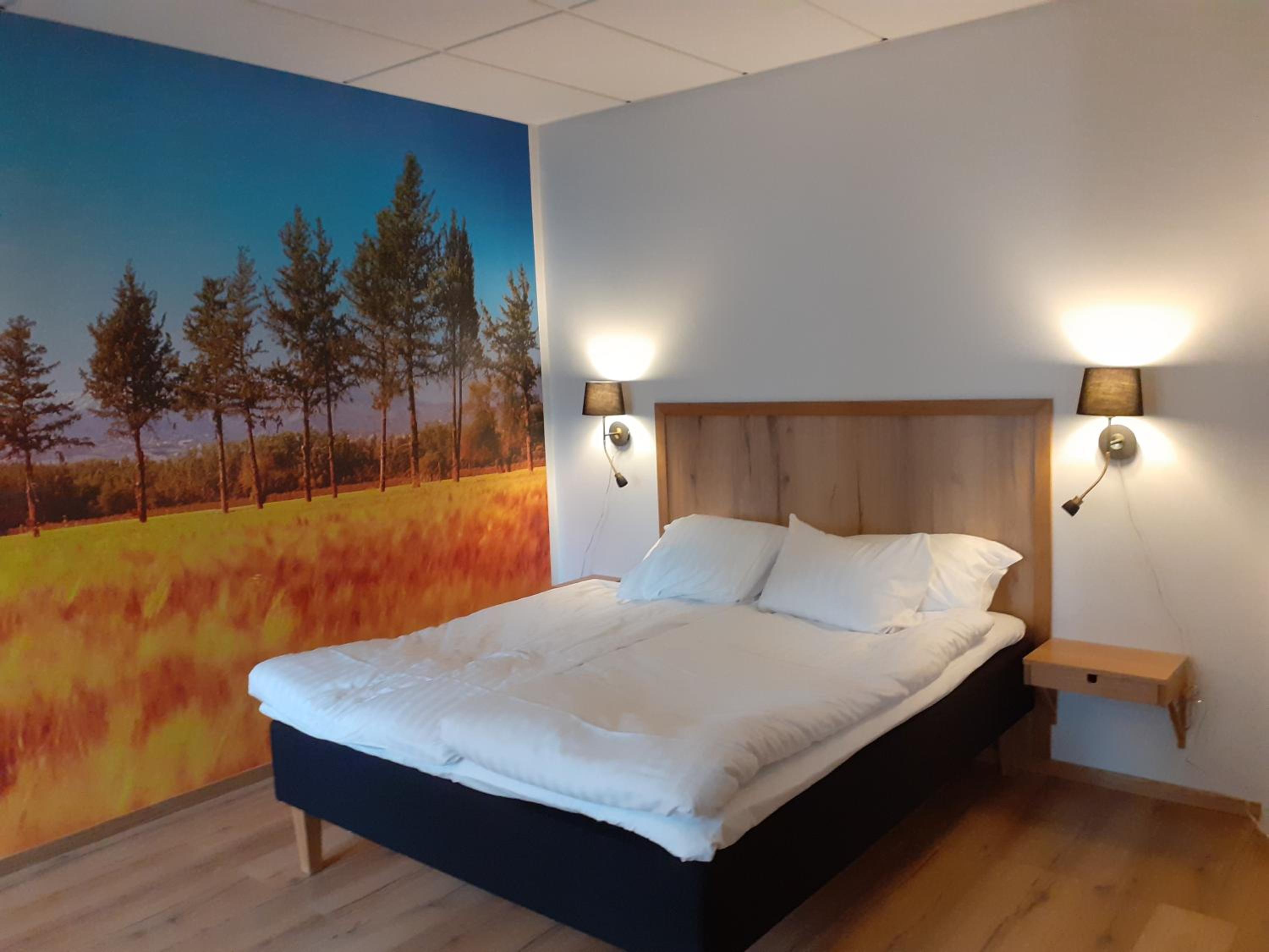 Large Double Room
