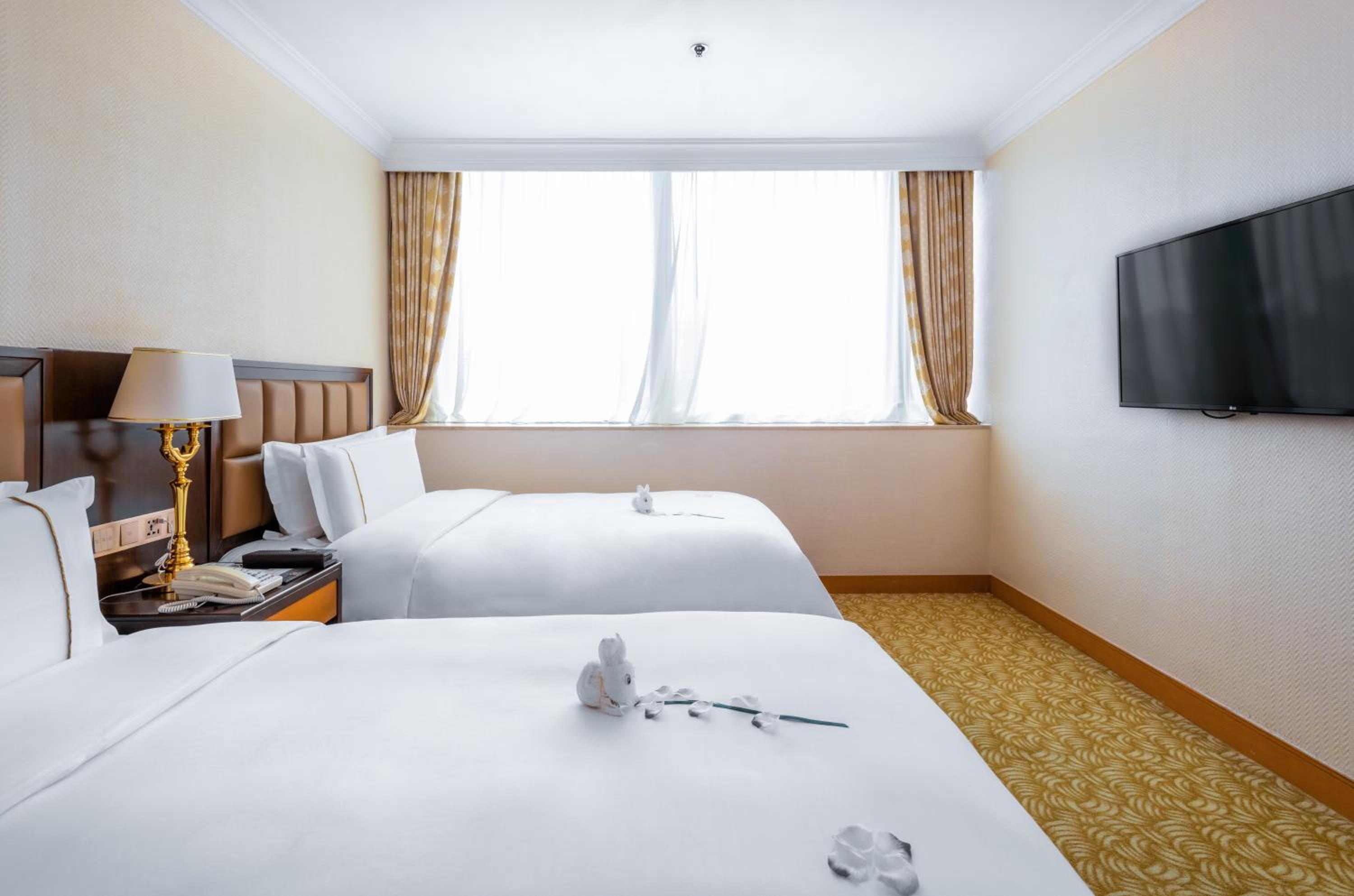 Deluxe Twin Bed Suite  - Photo 1