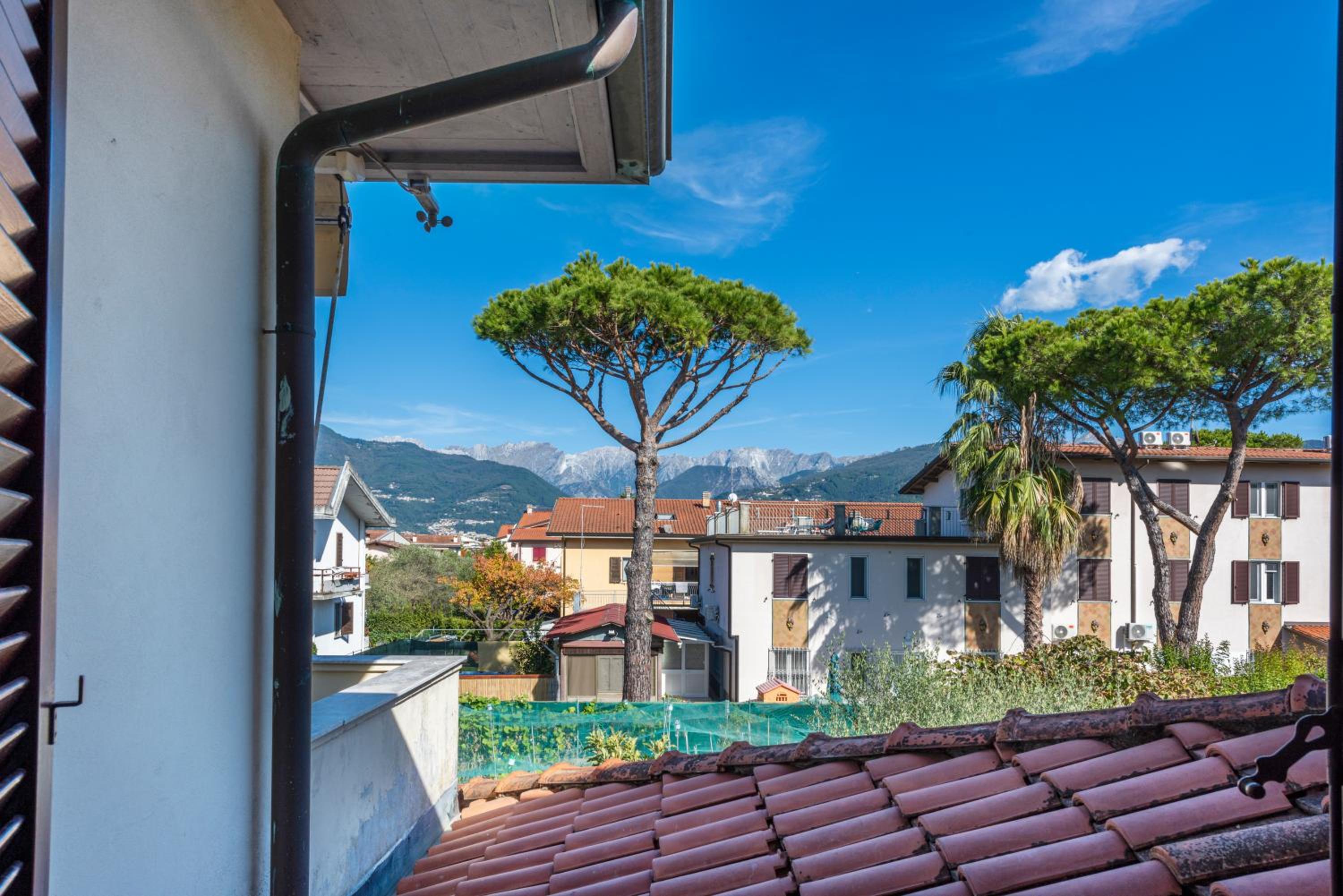 Apartment with Terrace photo 3