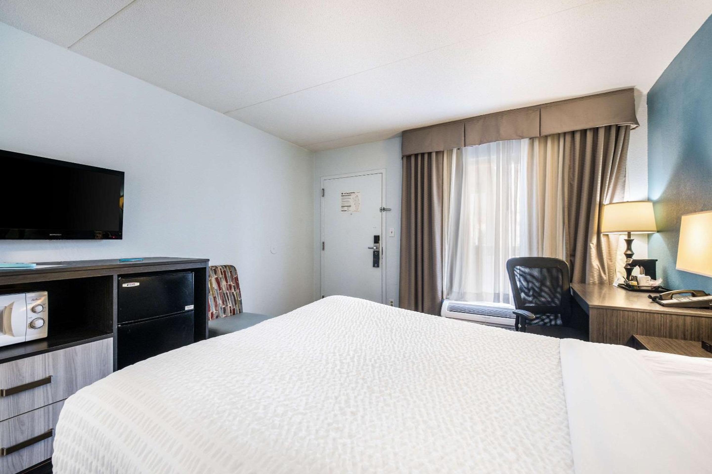 Single Room - Photo 2
