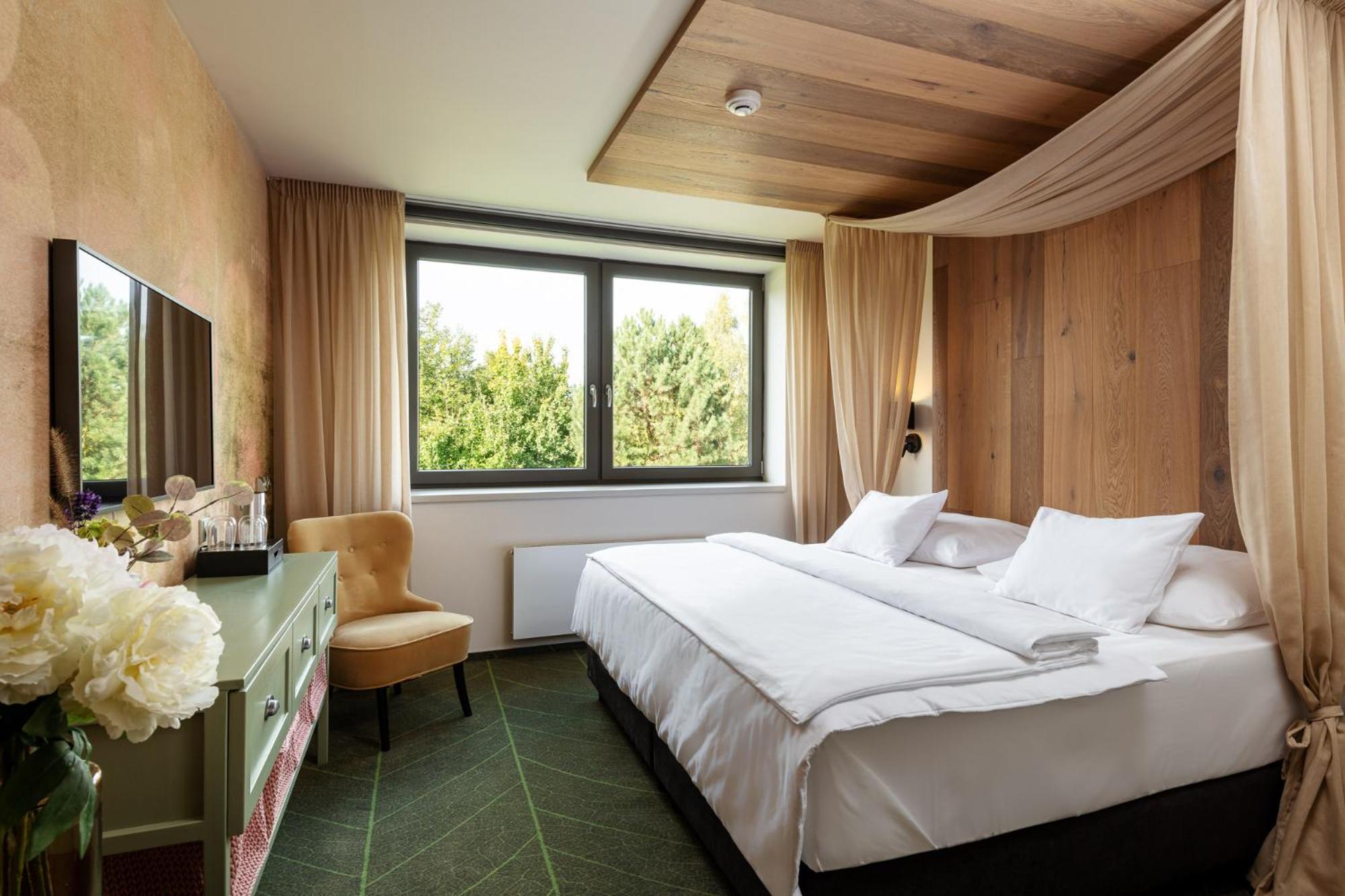 Deluxe Double or Twin Room photo 1