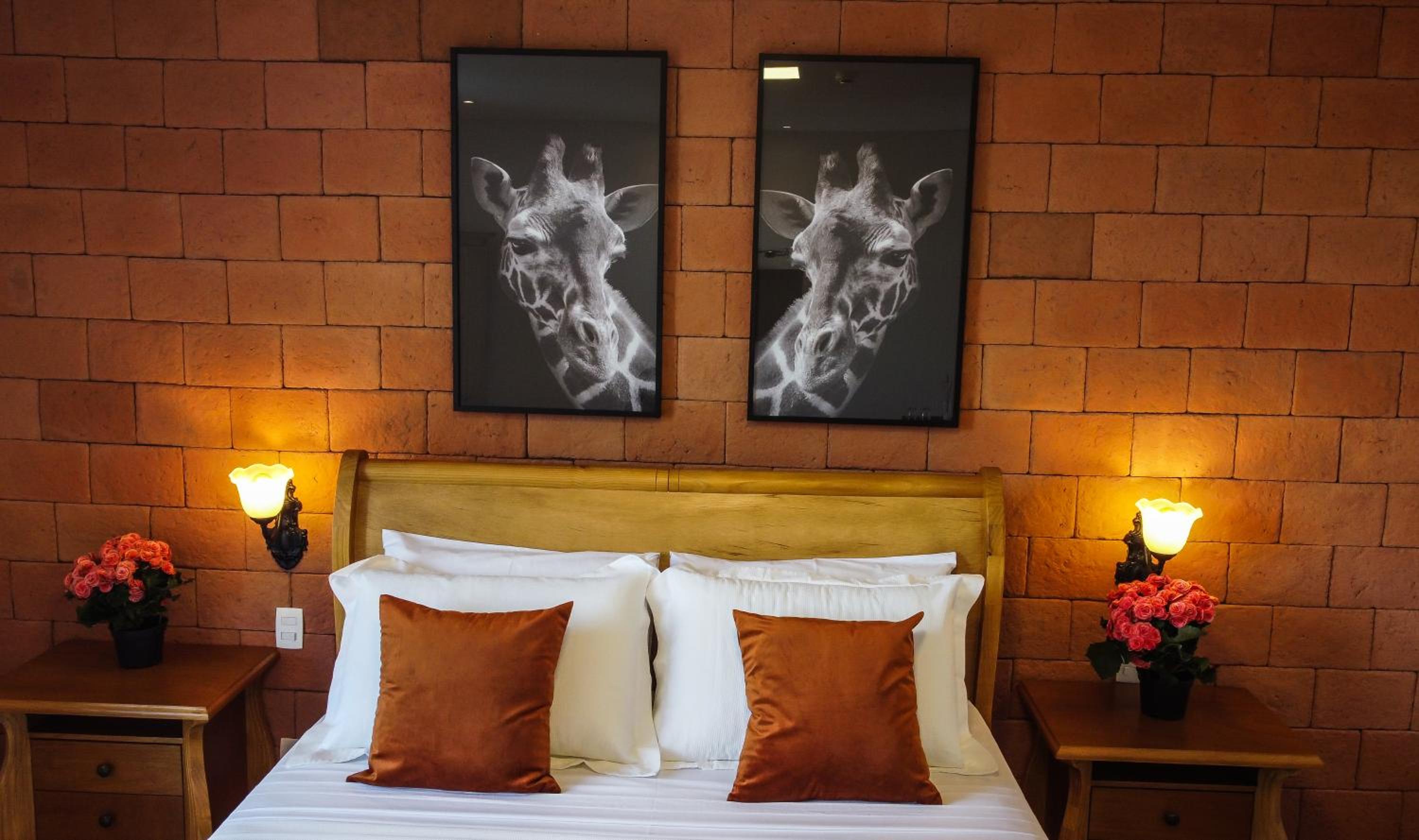 Deluxe Double Room photo 1