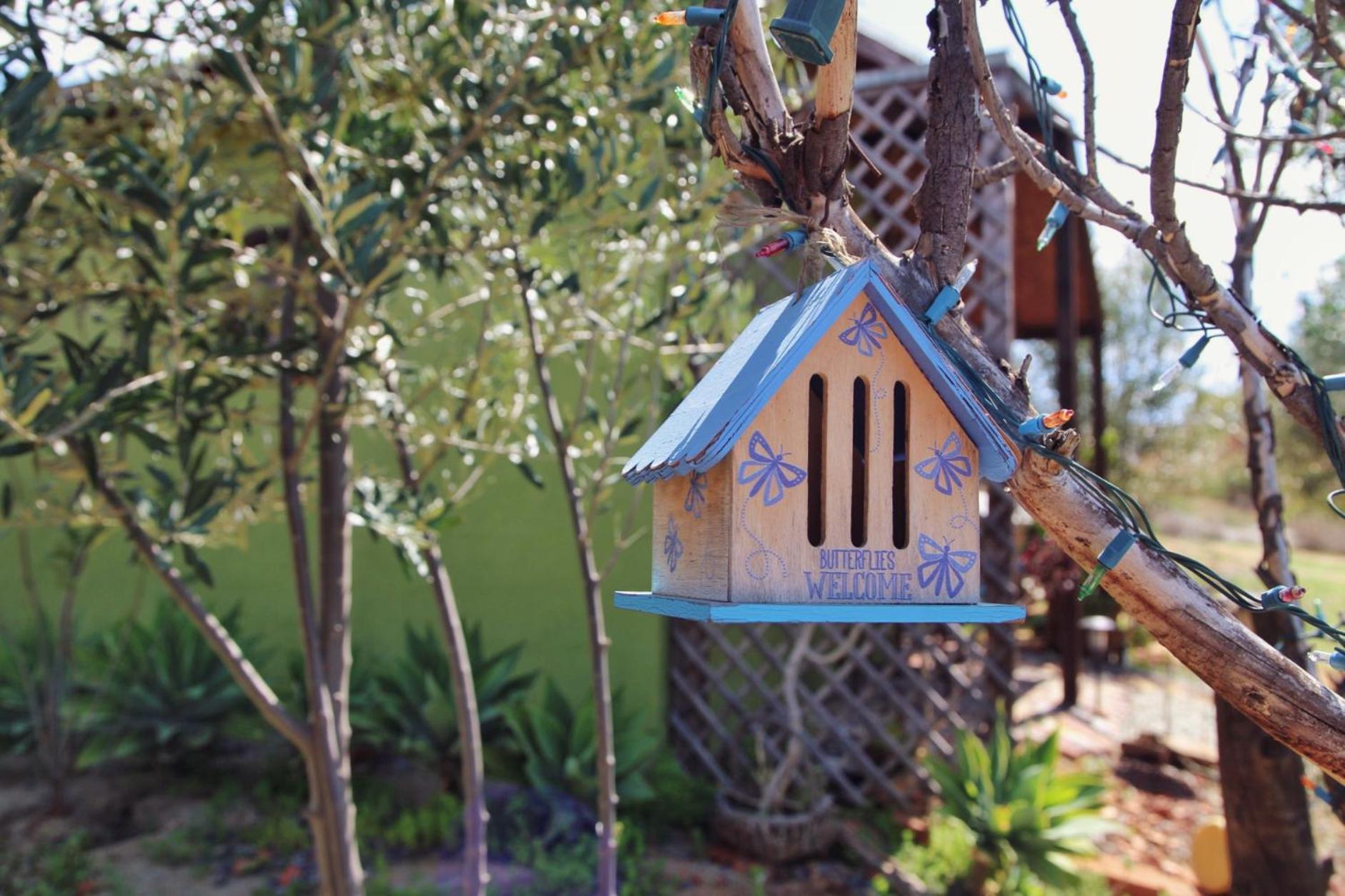 Merlot Cabin  - Photo 5