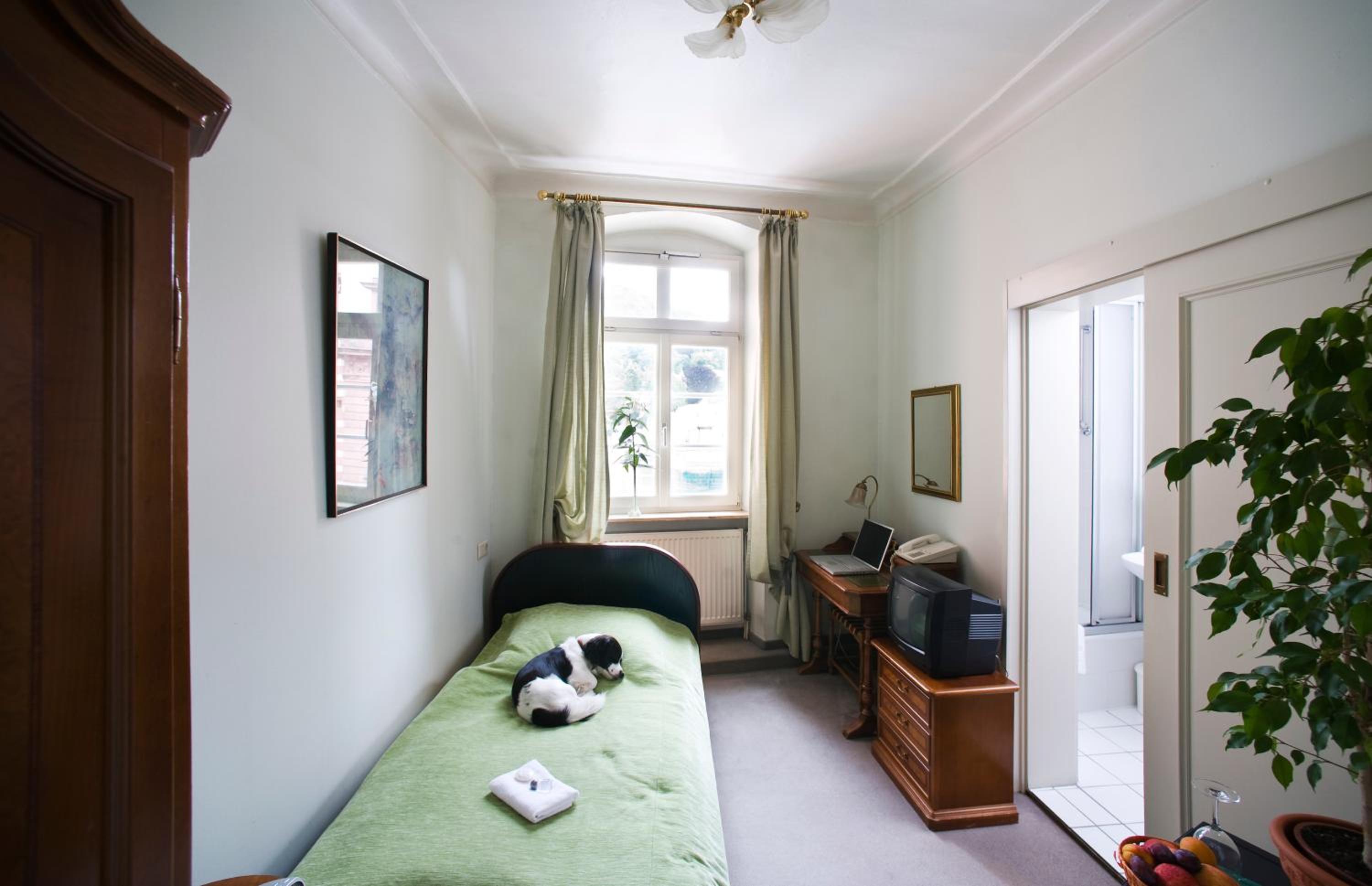 Standard Single Room photo 1