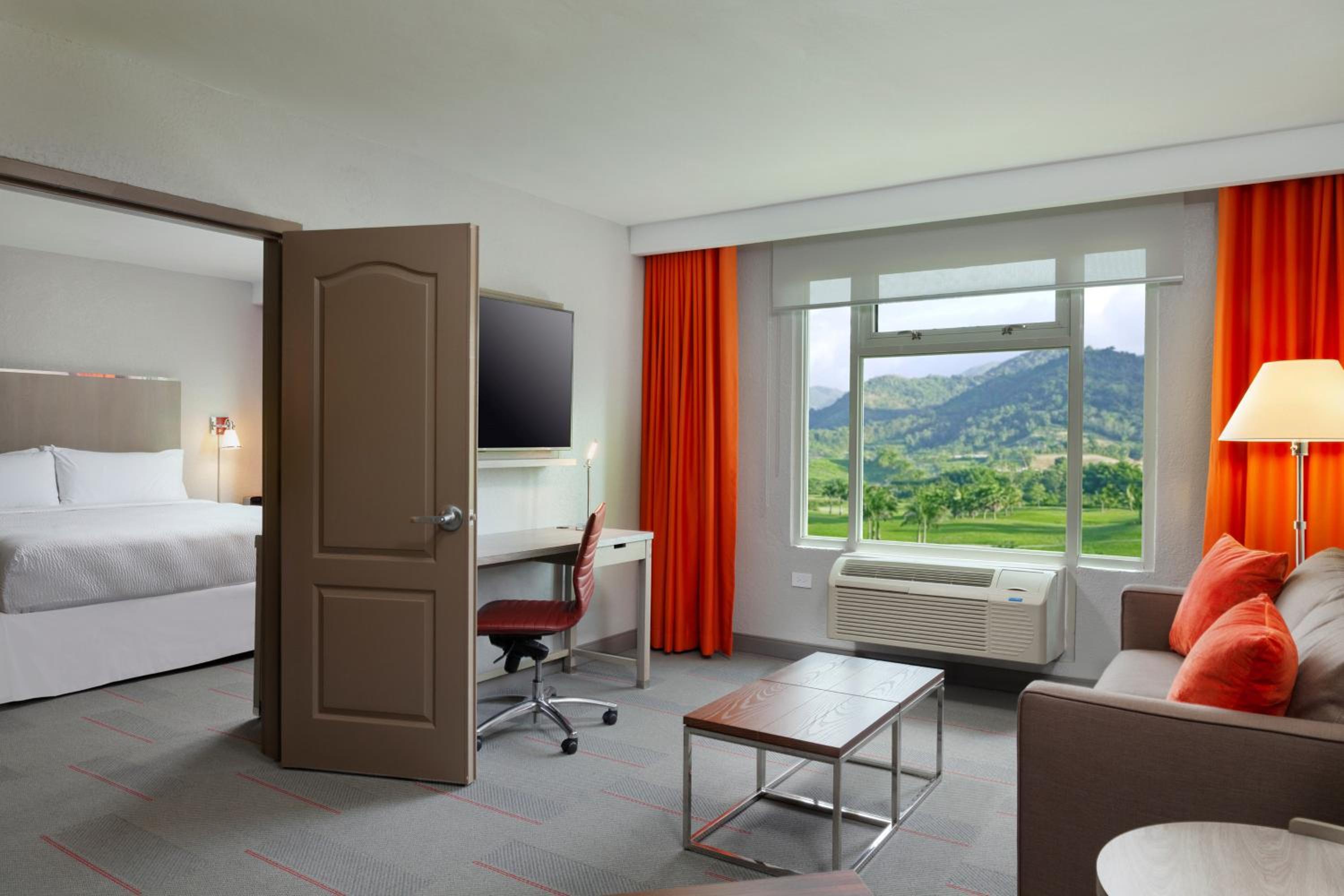 Standard Suite, 1 King, Sofa bed - Photo 1