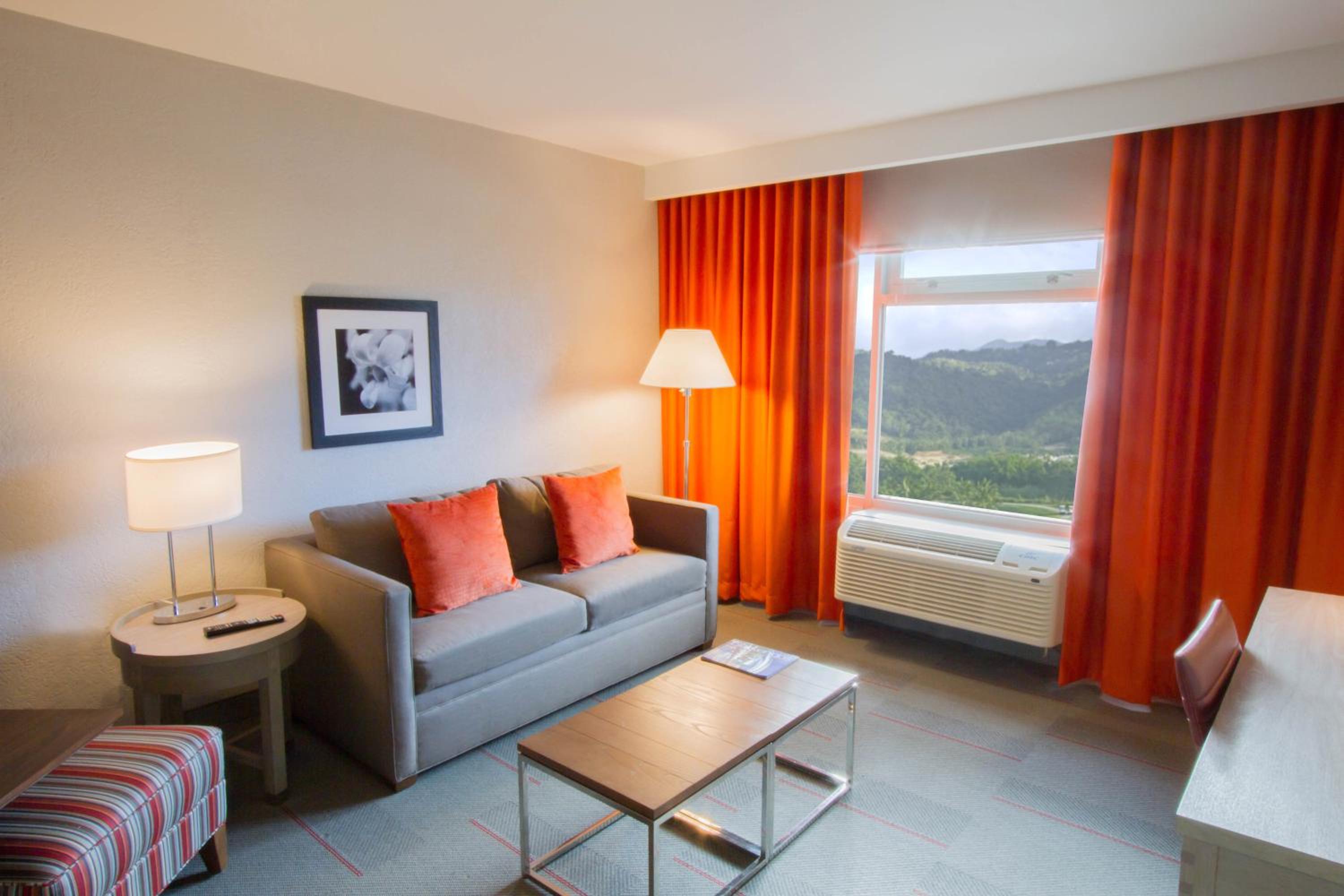 Standard Suite, 1 King, Sofa bed - Photo 8