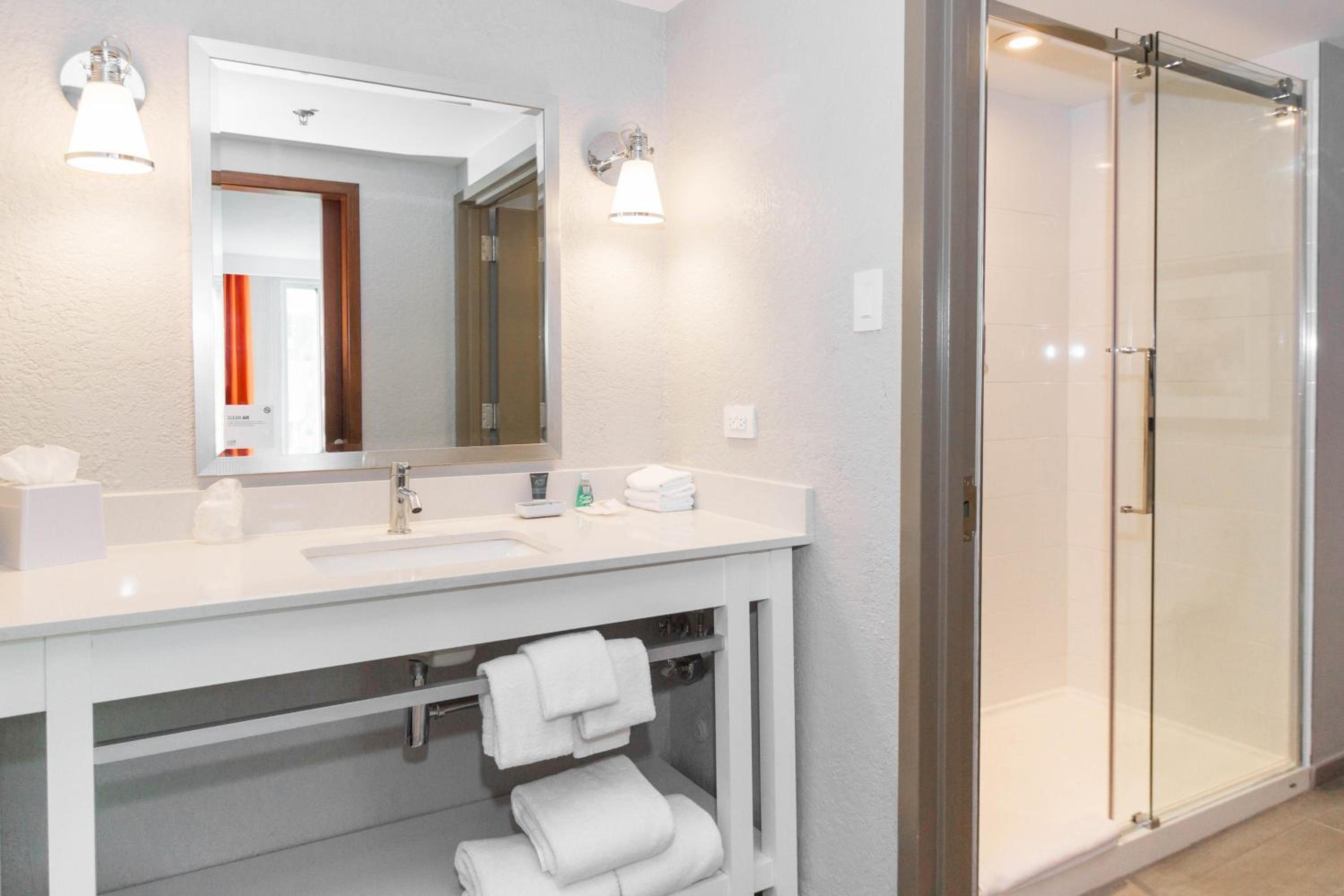 Standard Suite, 1 King, Sofa bed - Photo 9