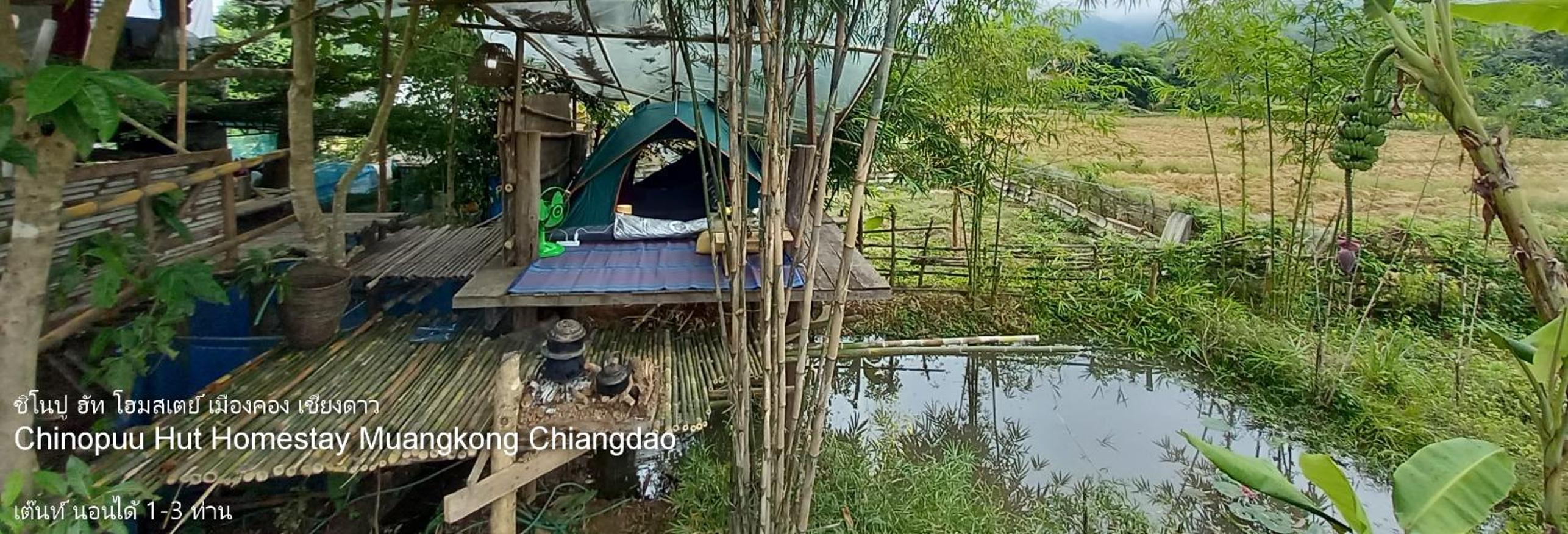Tent photo 1