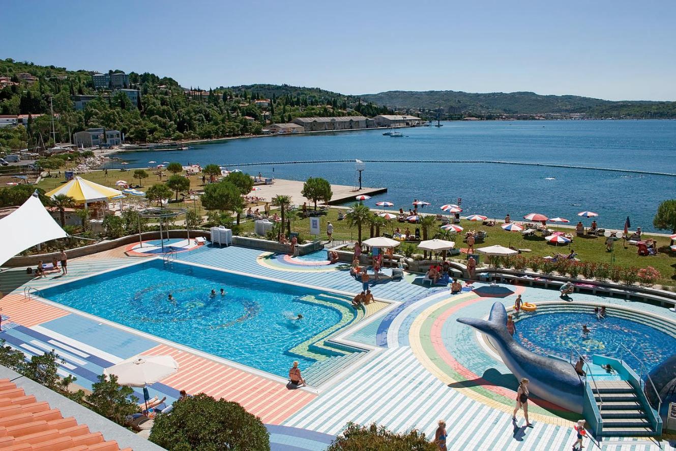 One-Bedroom Apartment with Balcony and Pool View photo 2