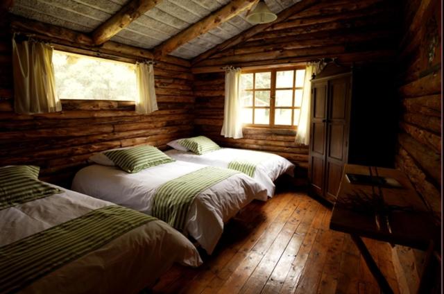 Comfort Triple Room photo 1