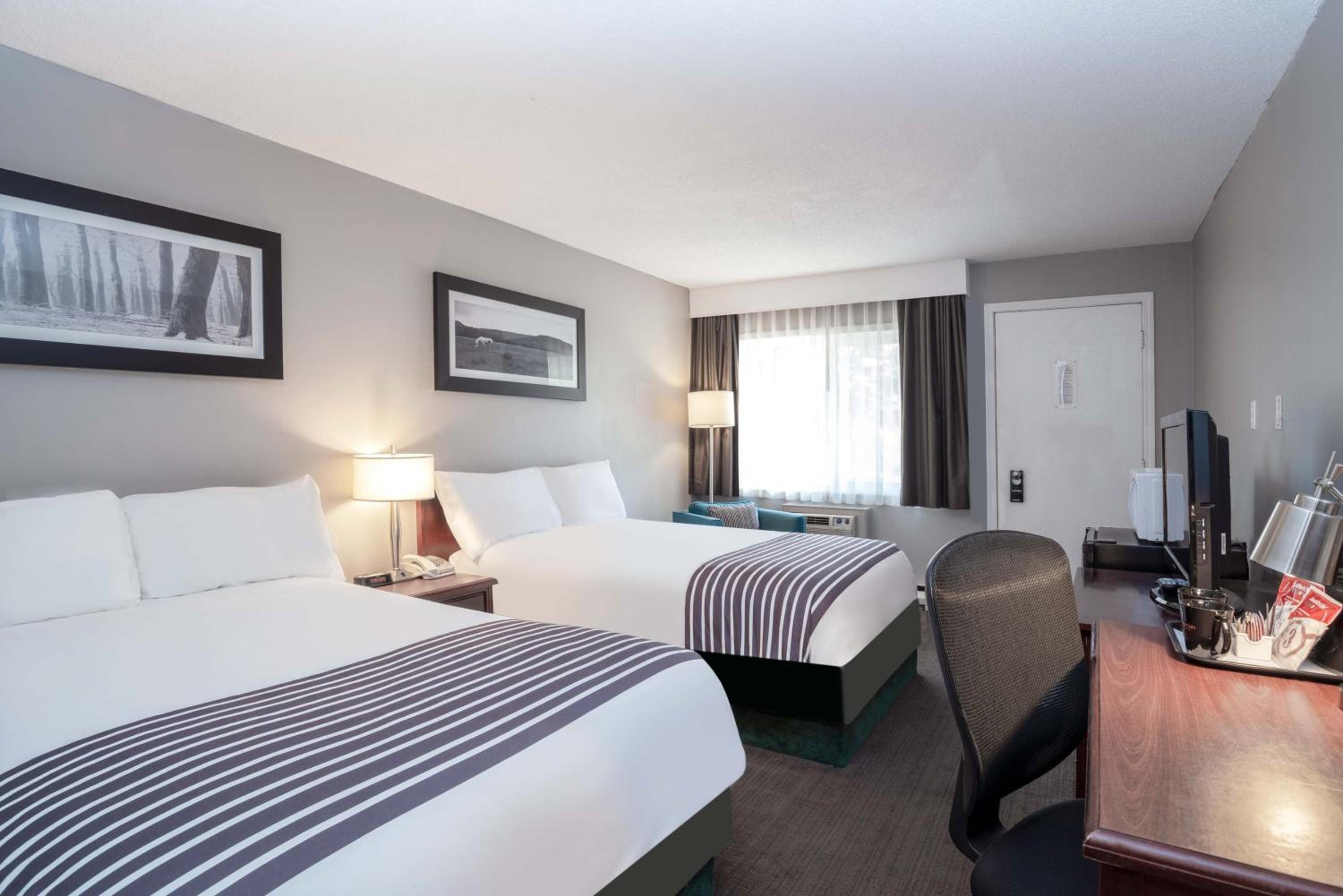 Standard Room, 2 Double Beds