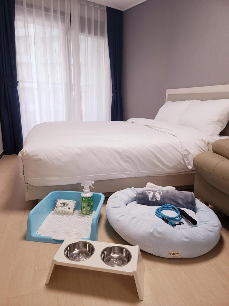 Standard Pet Room  - Photo 3