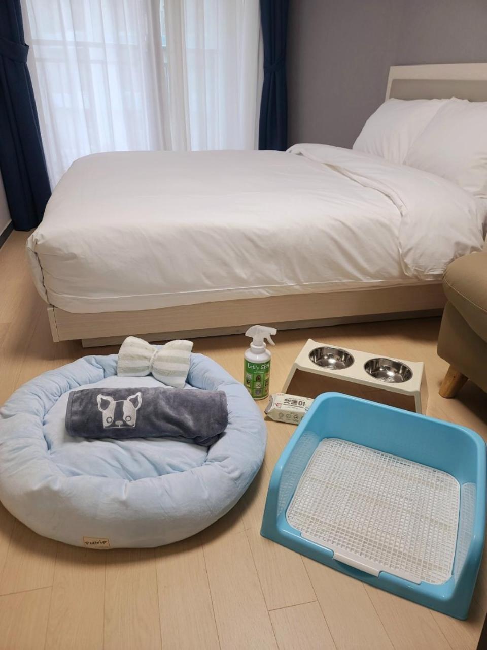 Standard Pet Room  - Photo 1