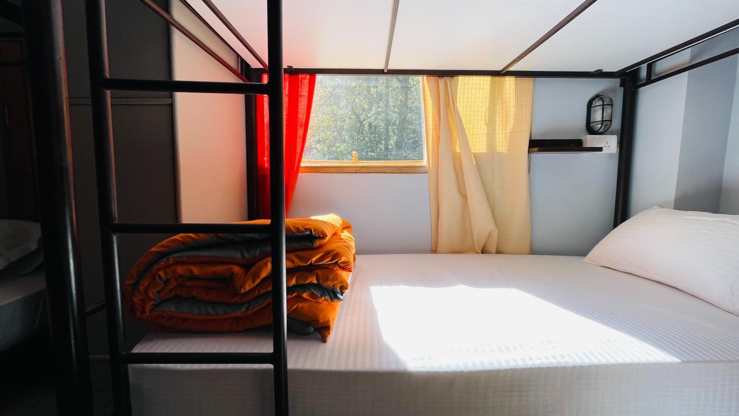 Single Bed in 12 Bed Mixed Dormitory Room photo 3