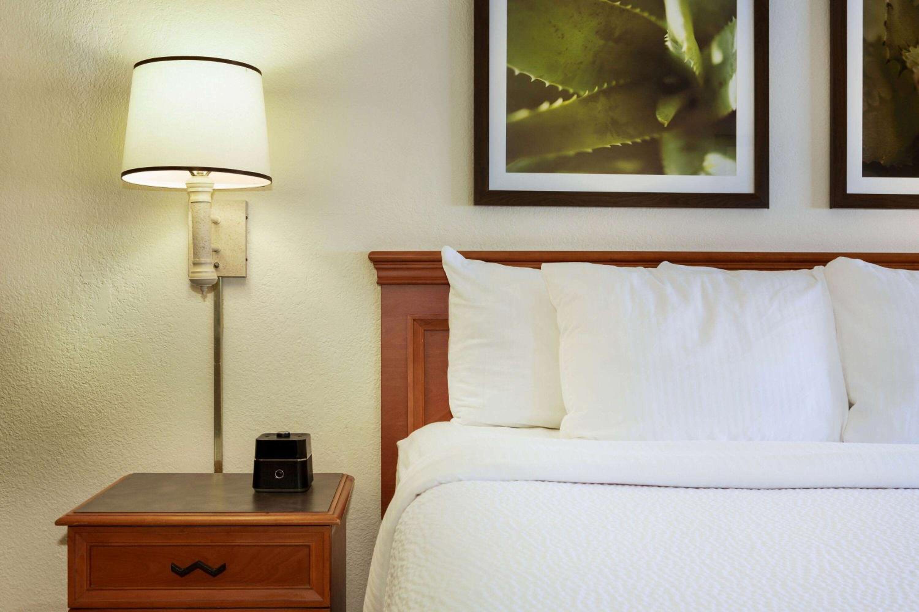 Two Double Beds - Photo 2
