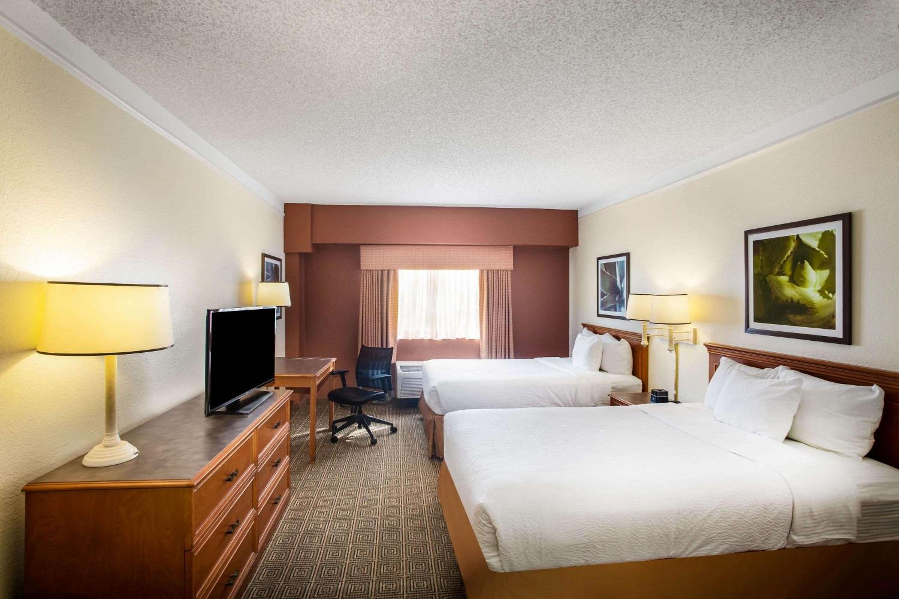 Two Double Beds - Photo 1