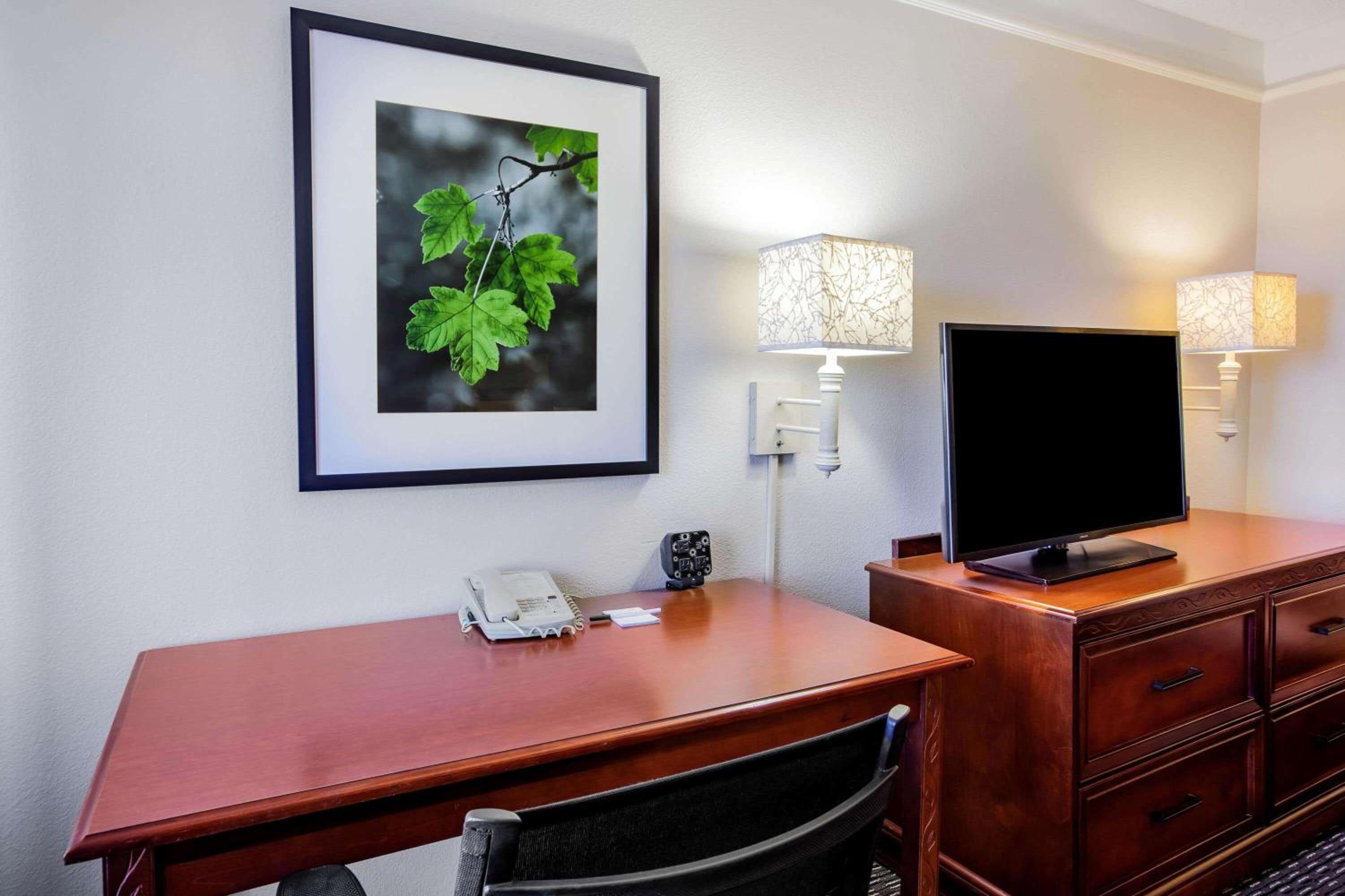 King Room - Photo 8