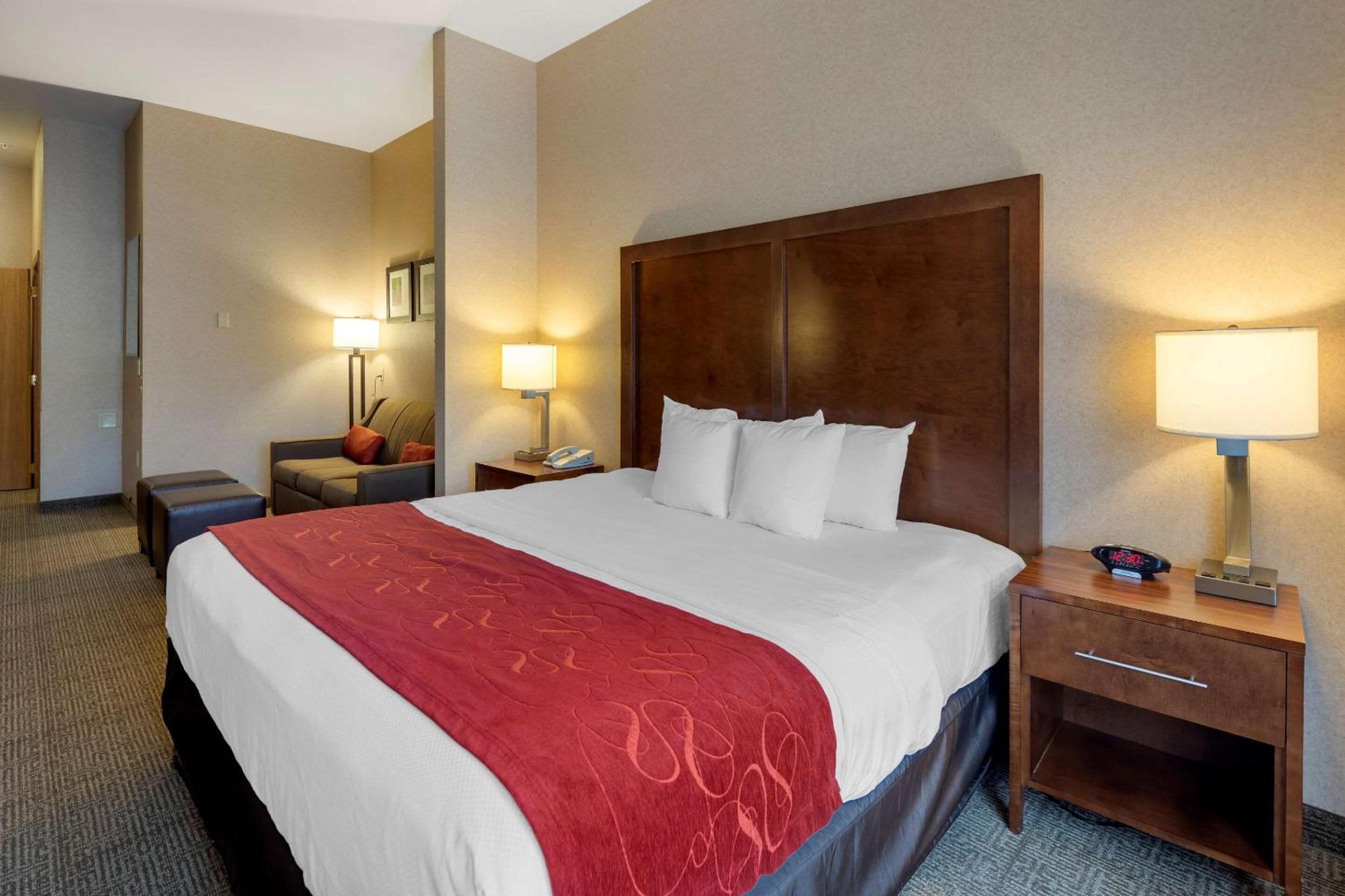 King Suite - Accessible/Non-Smoking - Photo 3