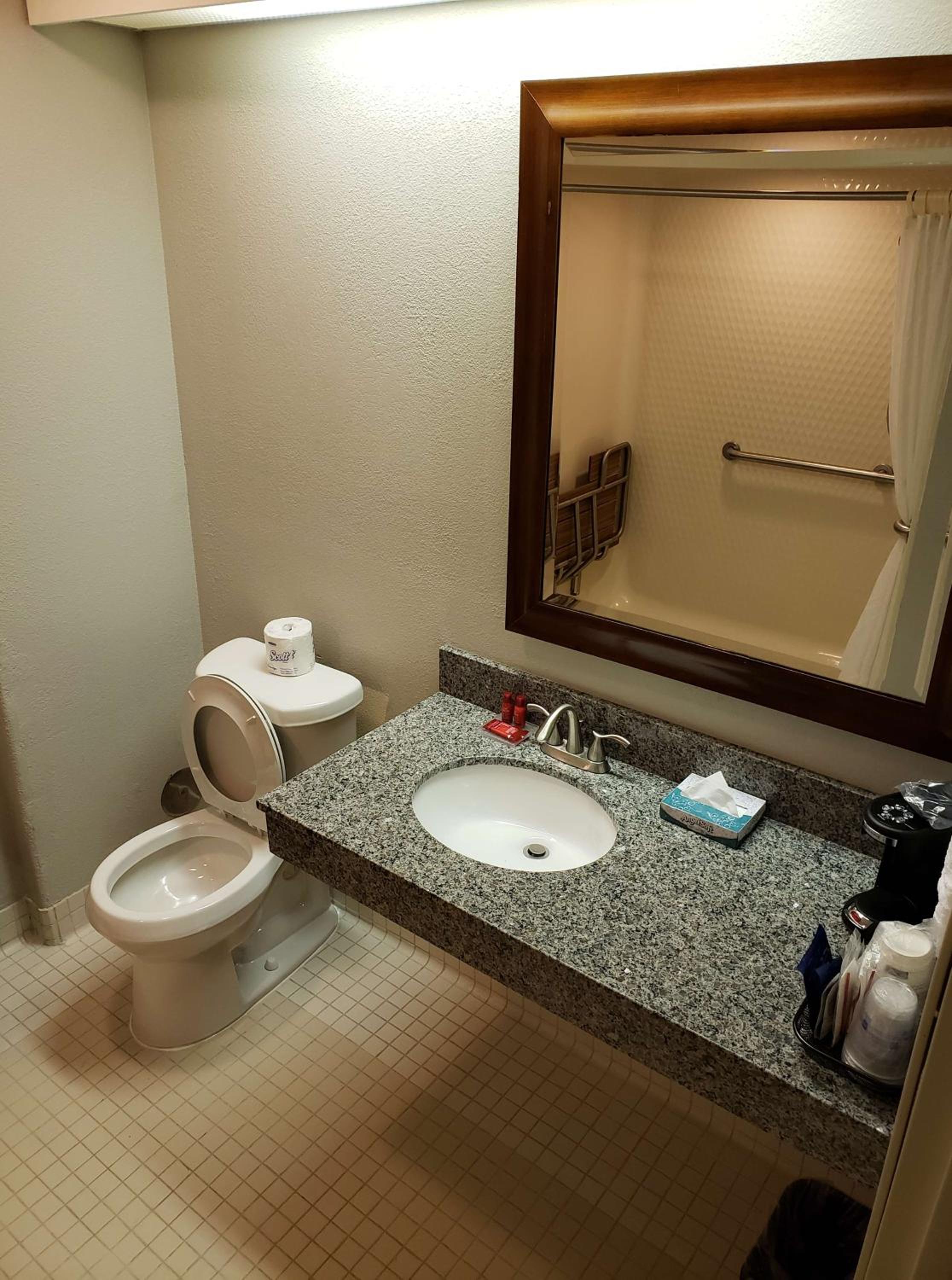 King Room With Roll-In Shower - Disability Access photo 2