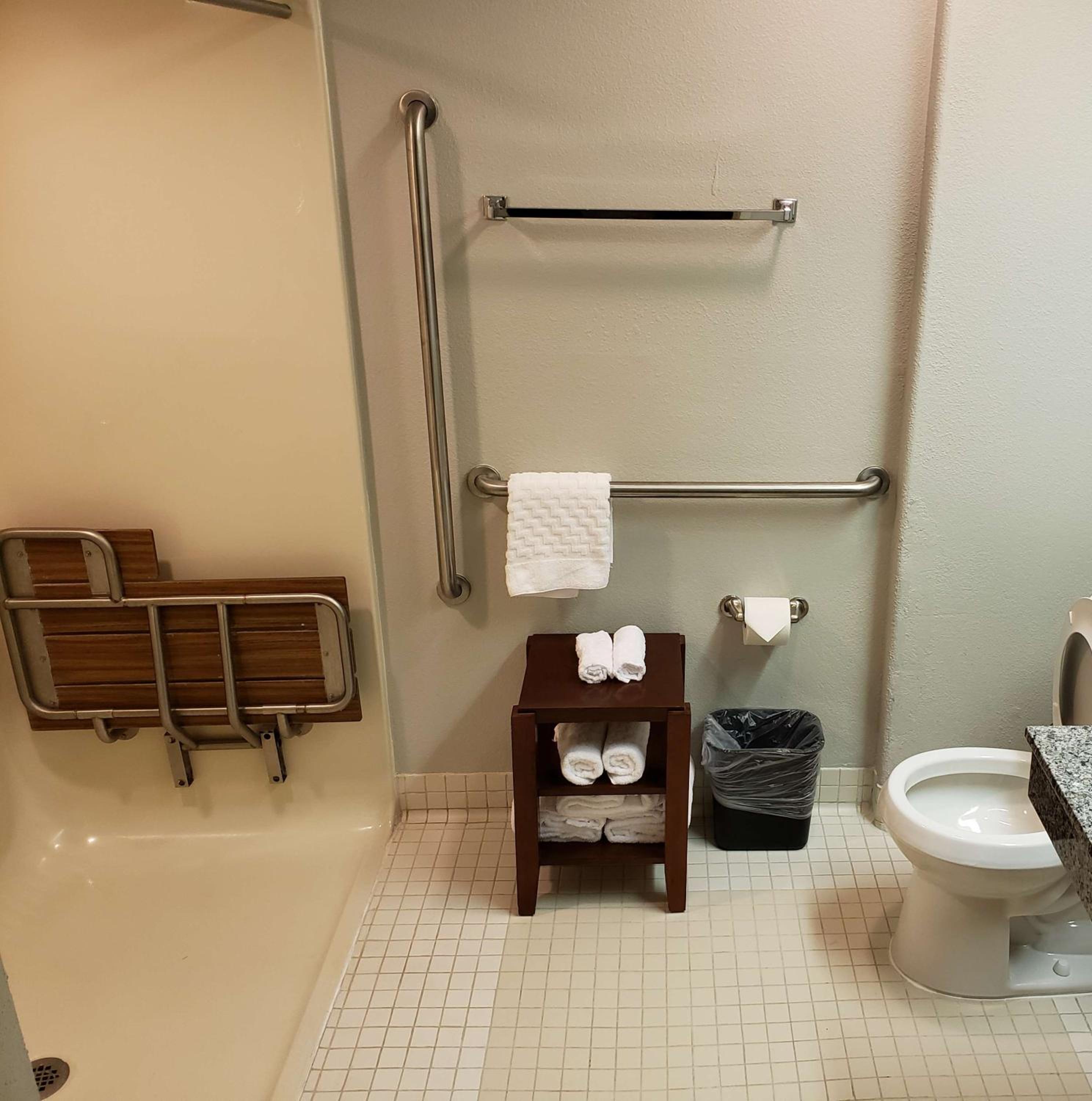 King Room With Roll-In Shower - Disability Access photo 3