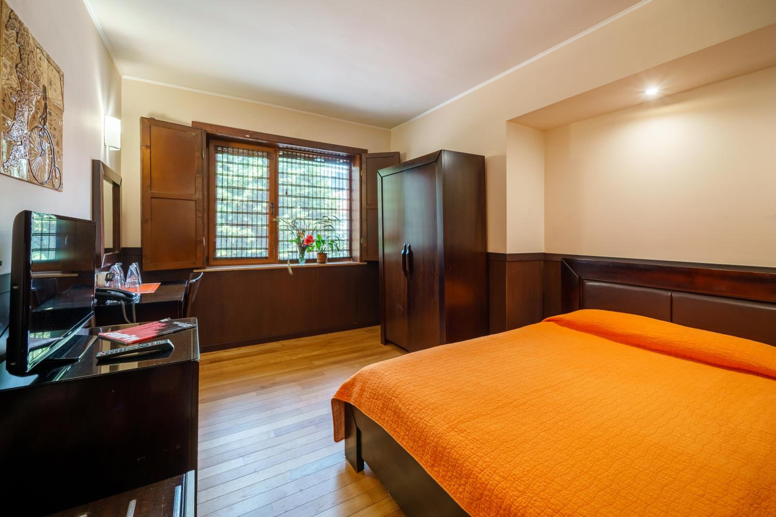 Single Deluxe Room photo 1