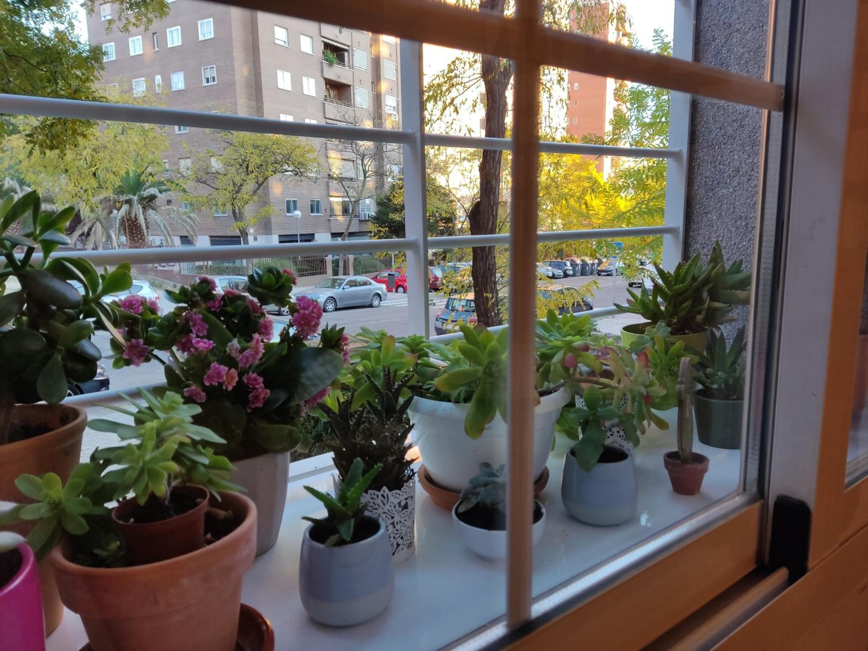 Apartment - Photo 11