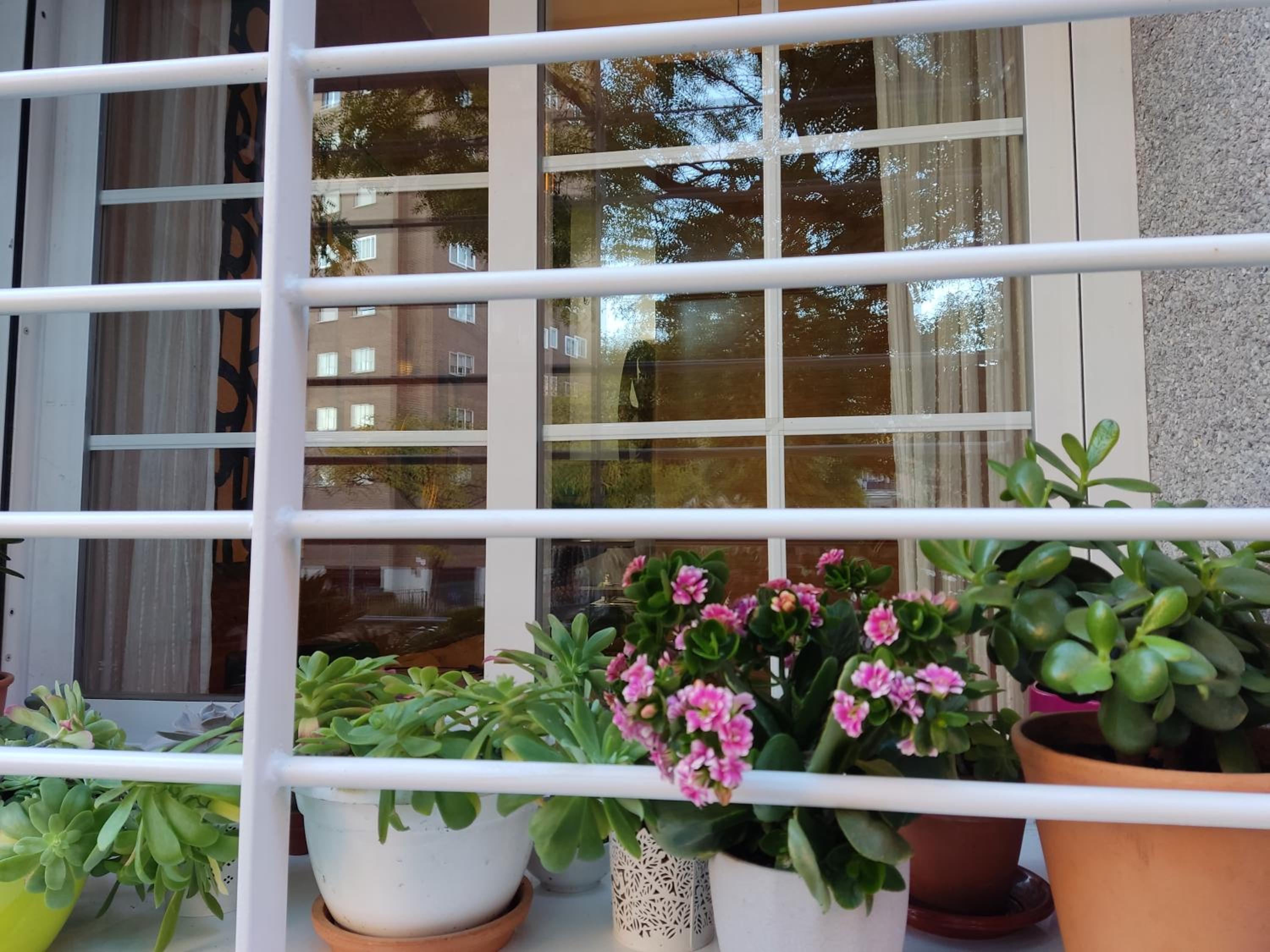 Apartment - Photo 13