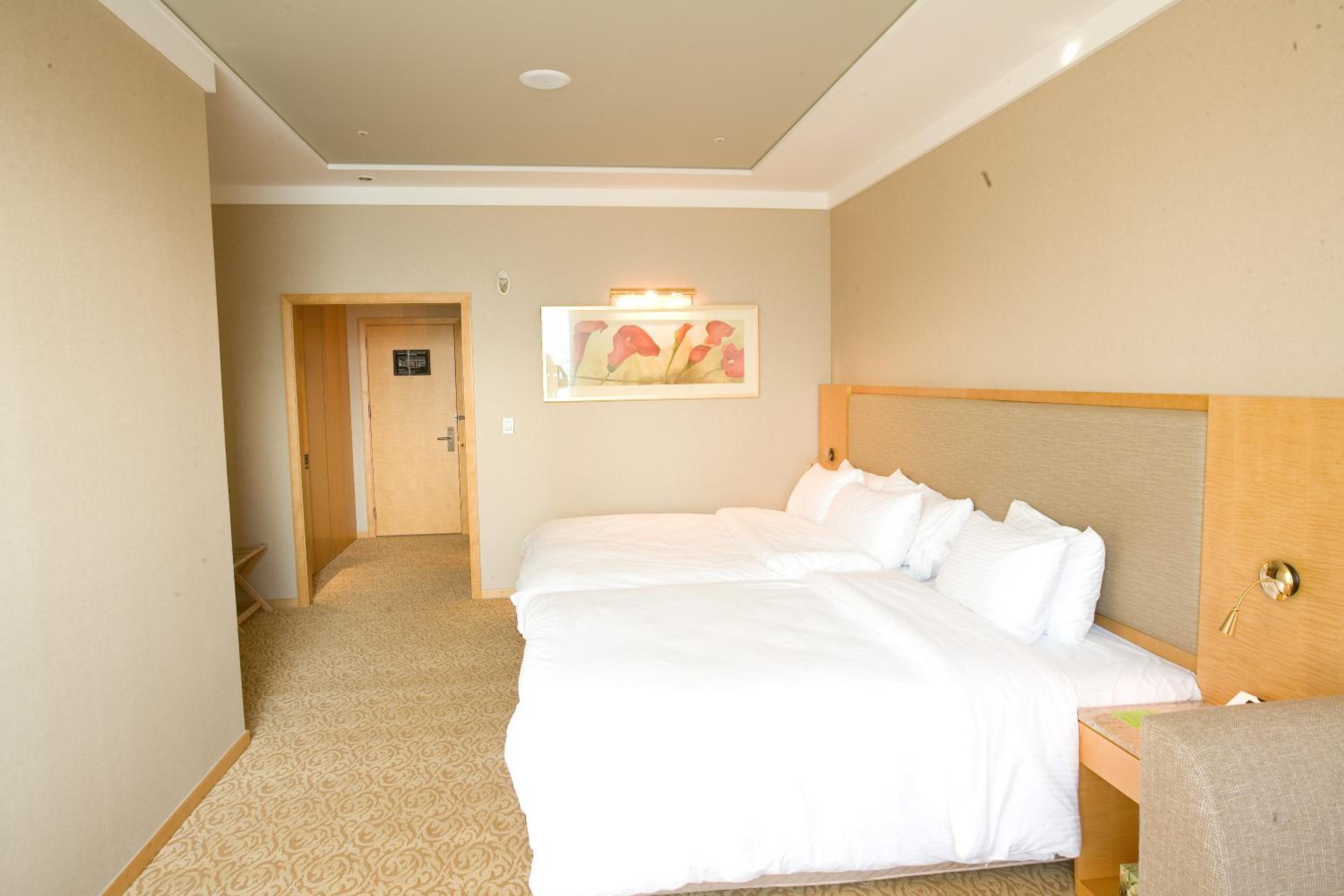 Grand Hollywood Twin Room - Photo 3