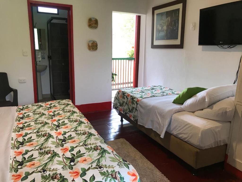 Twin Room photo 1