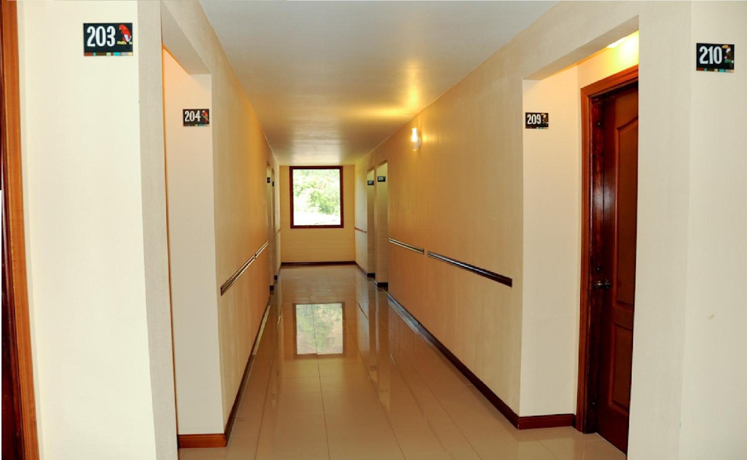 Twin Room photo 2