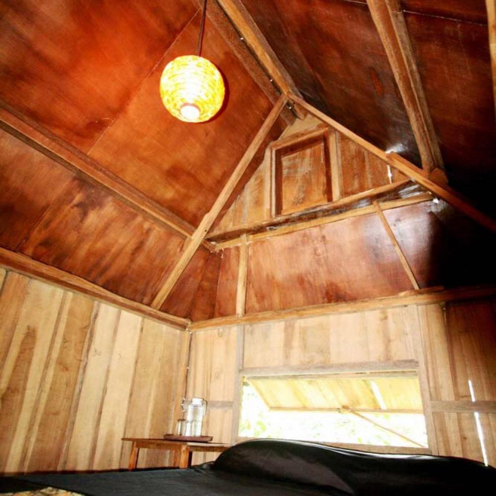 Budget Single Room photo 1