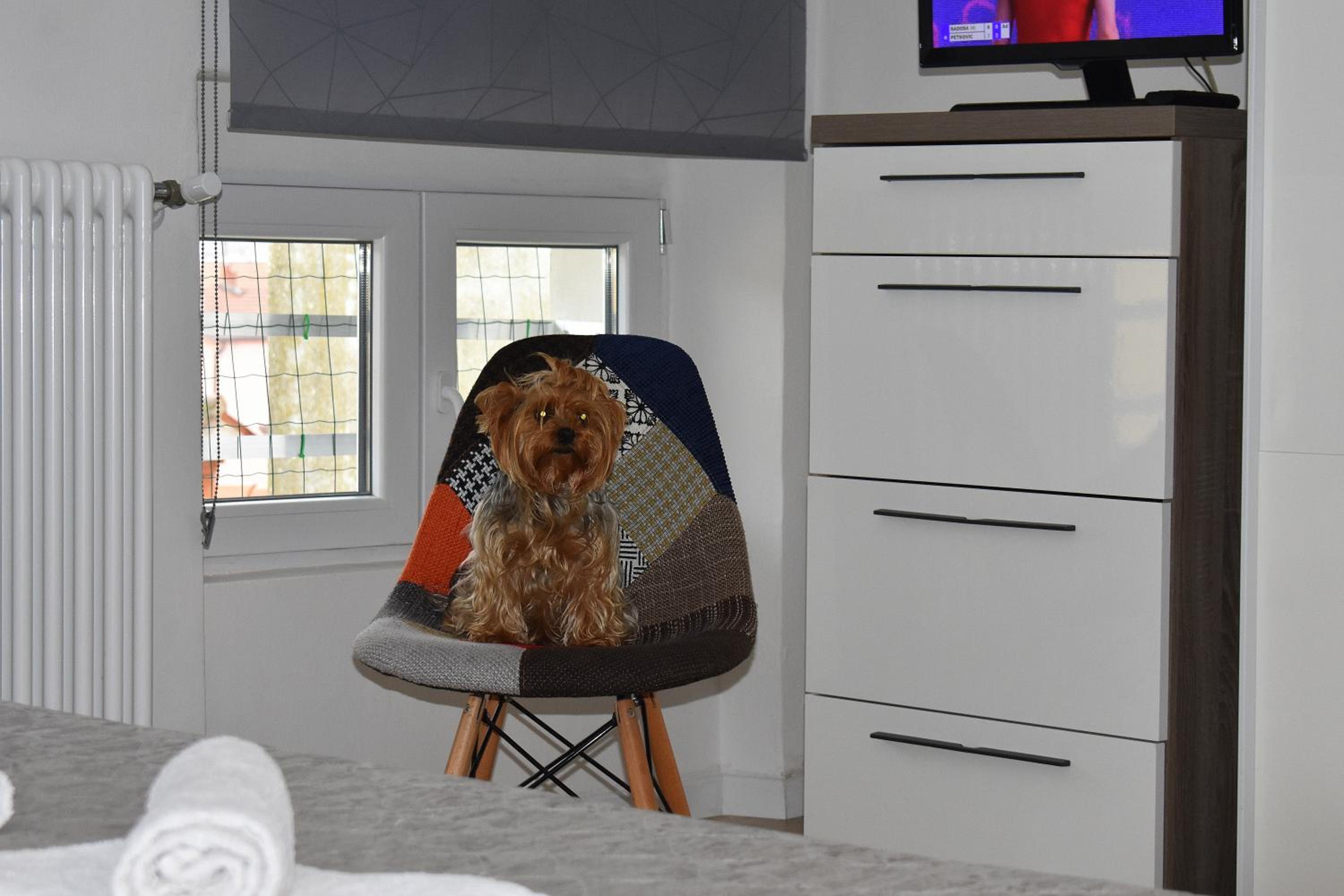 One-Bedroom House - Photo 19