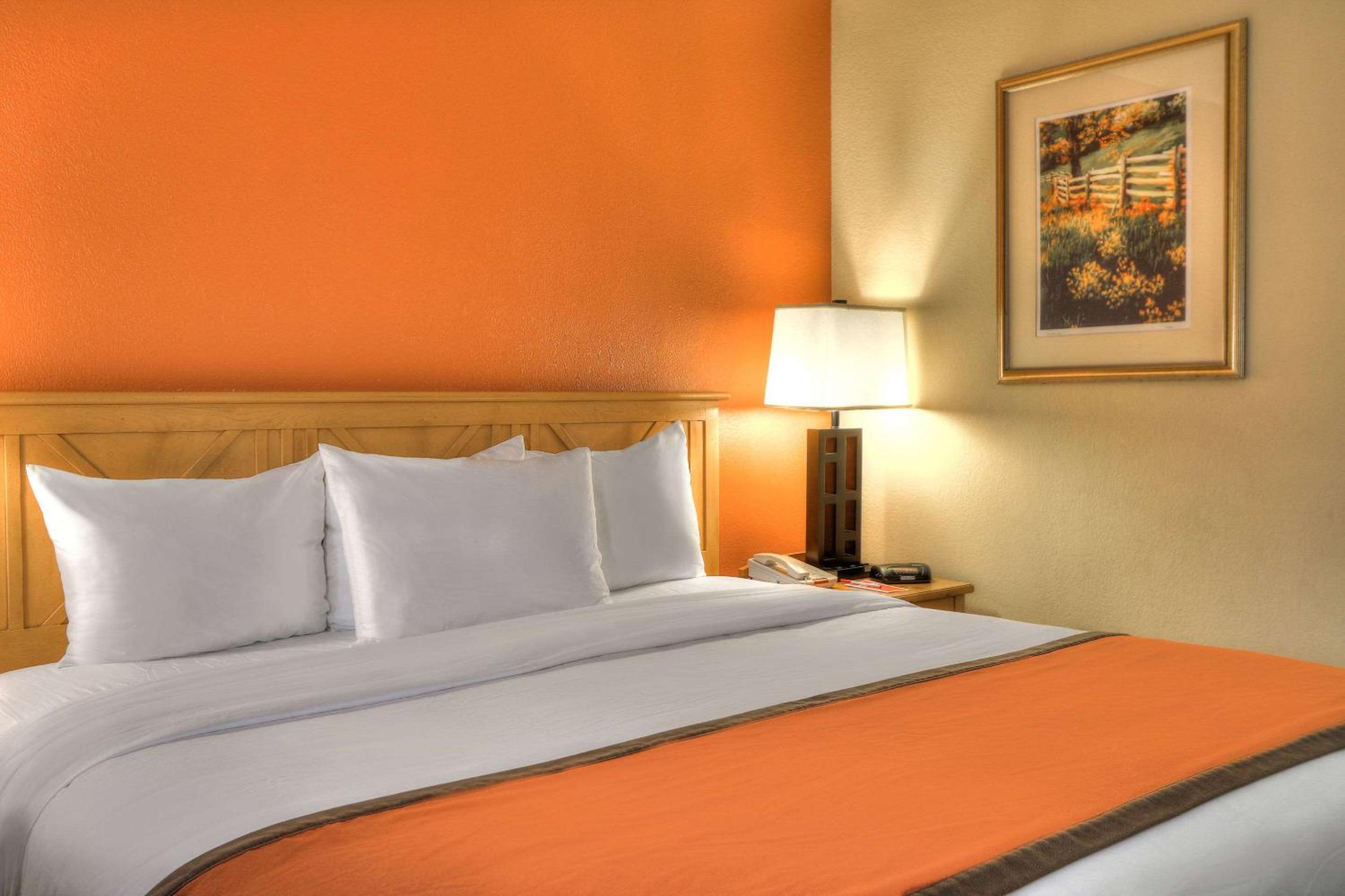 King Room - Photo 13