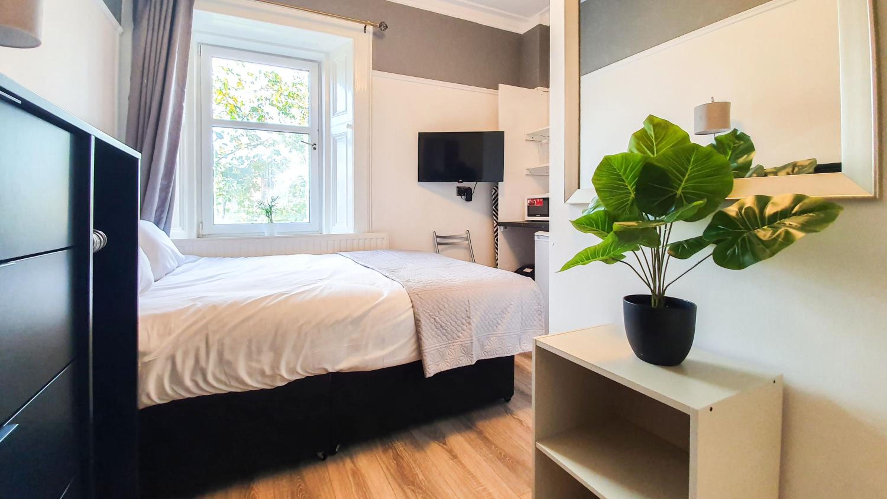 One-Bedroom Apartment photo 2