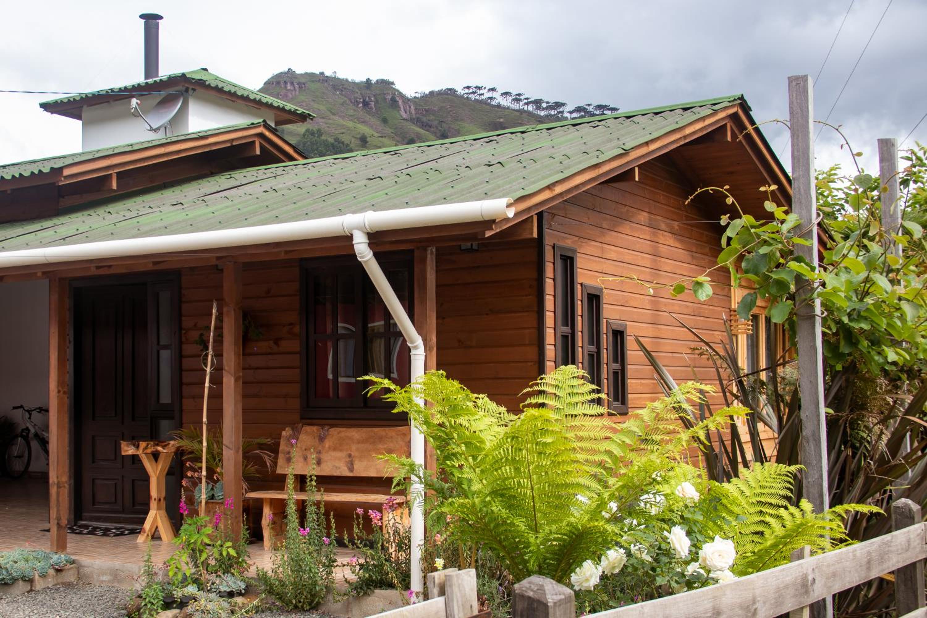 Bungalow with Garden View photo 3