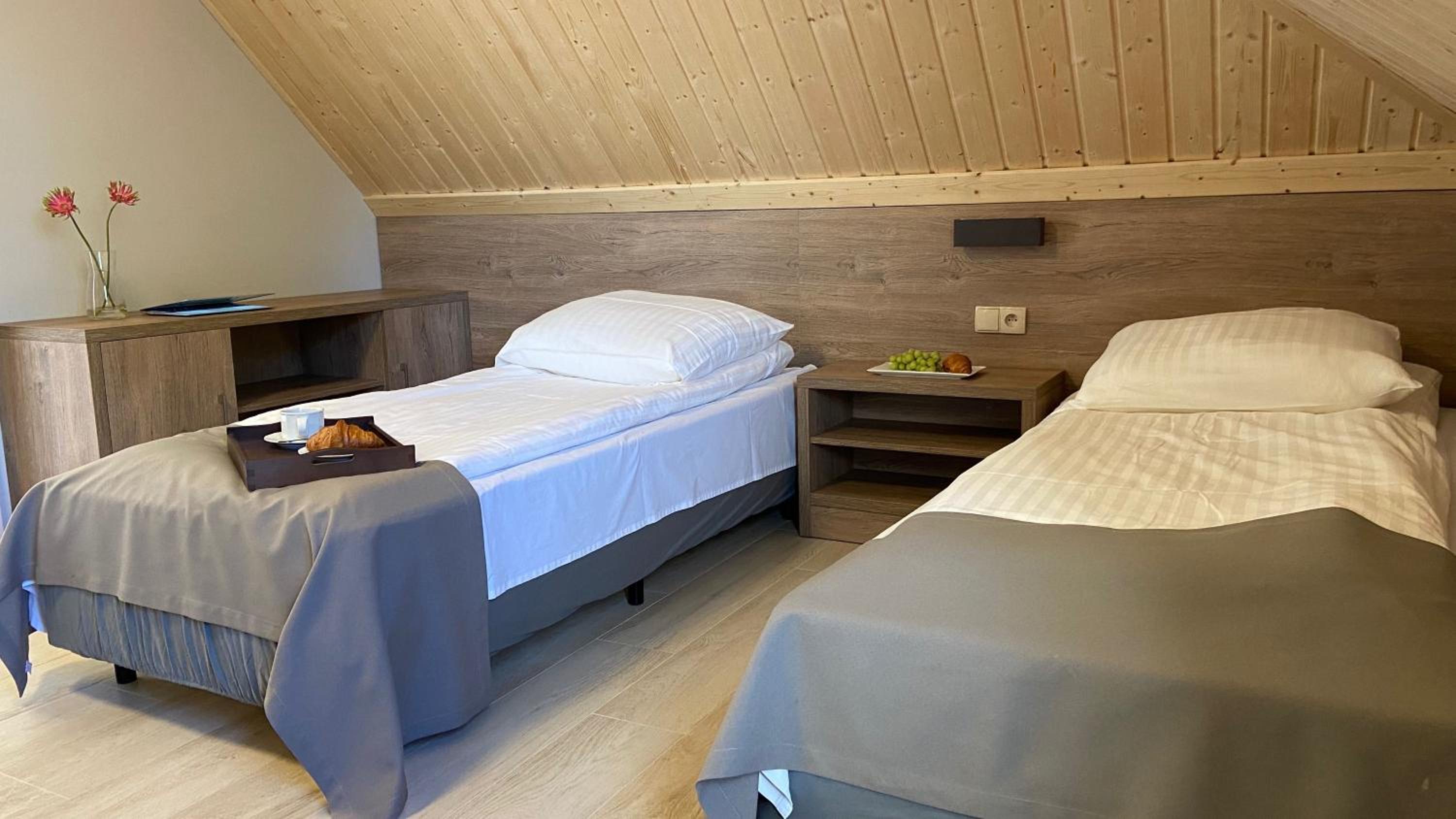 Twin Room photo 1