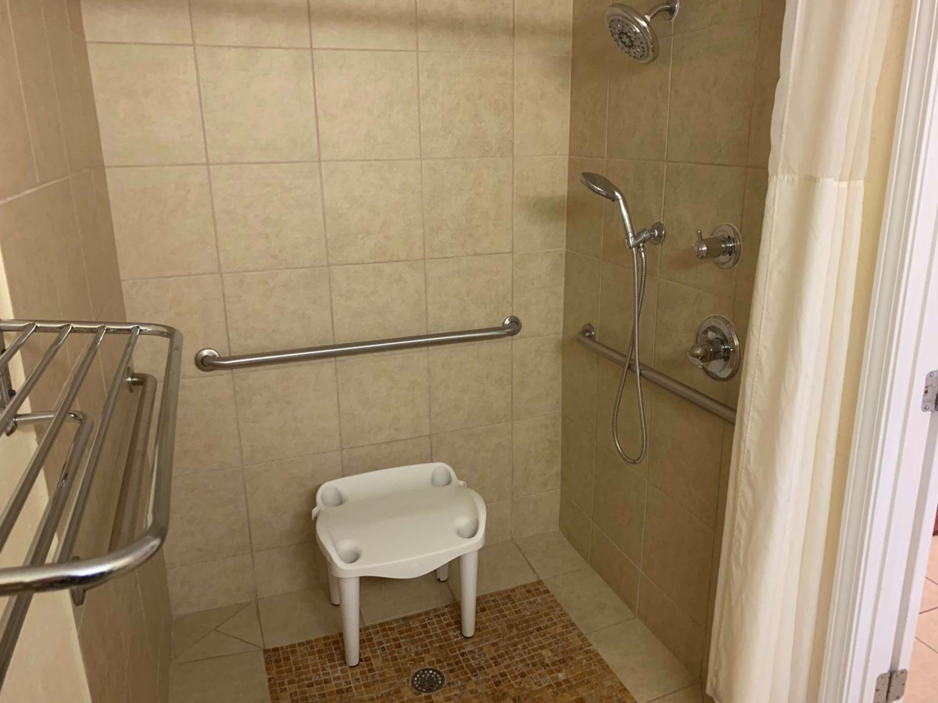 King Room with Mobility Accessible Roll-In Shower and Sofa Bed photo 1