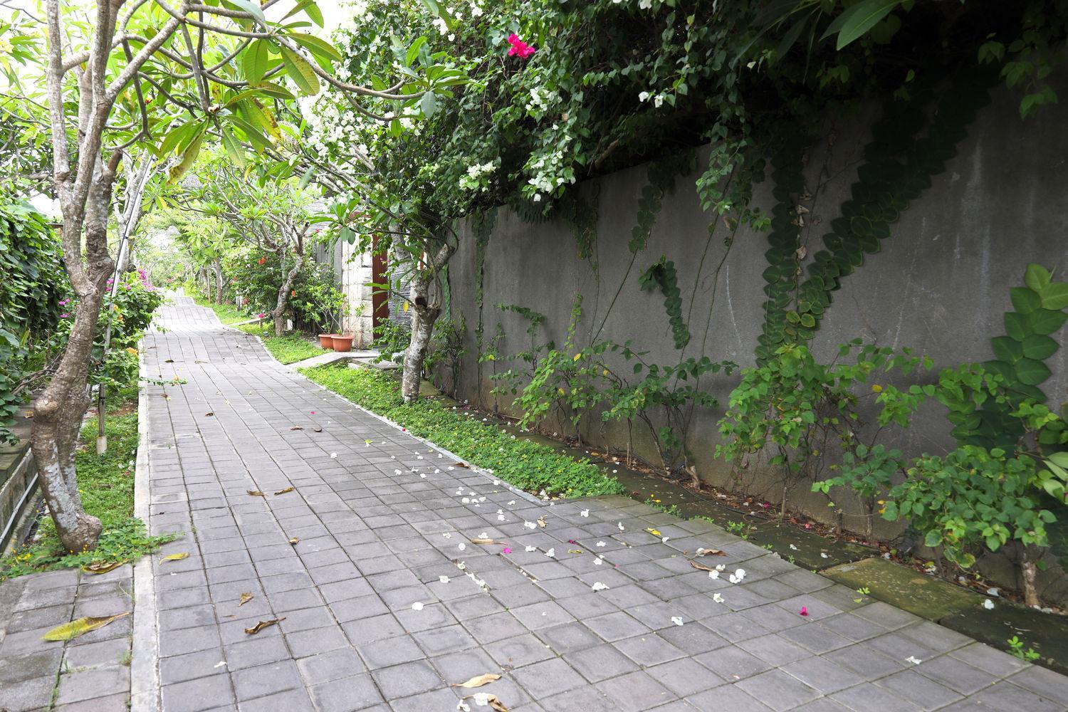 Three Bedroom Ocean View Villa - Photo 22