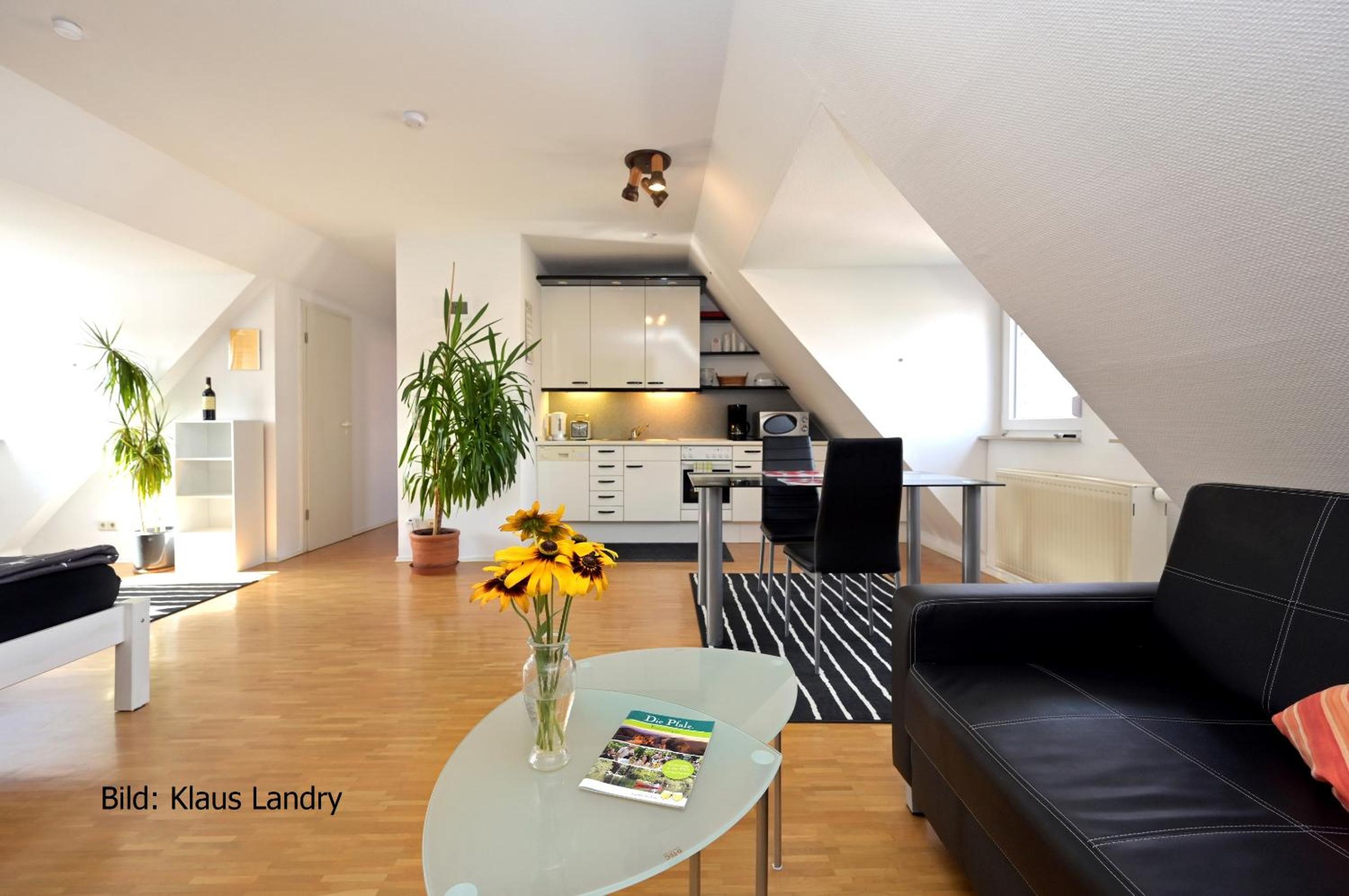 Studio Apartment photo 1