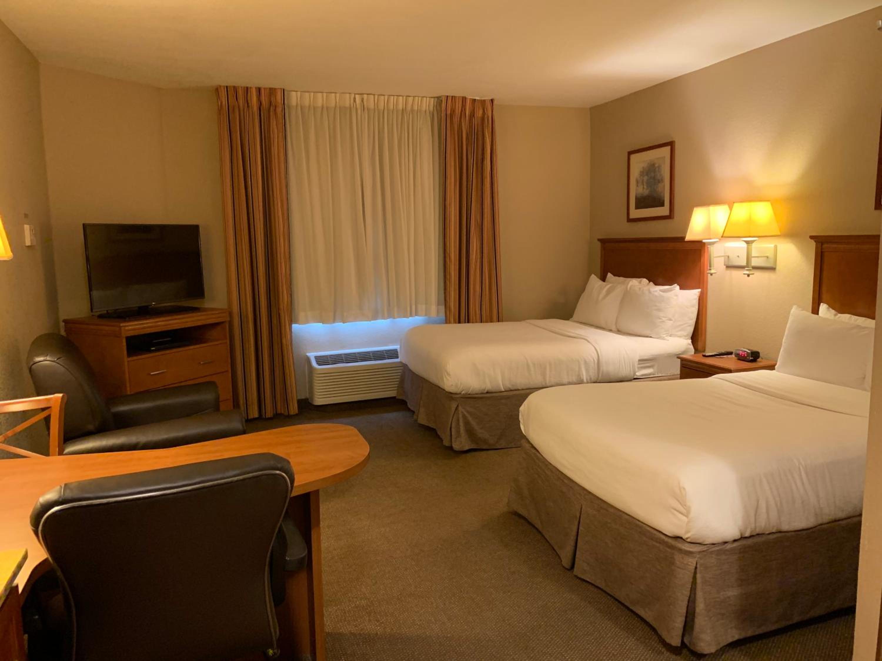 Studio Suite with Two Double Beds - Photo 1