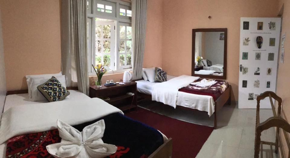 Double Room with Two Double Beds