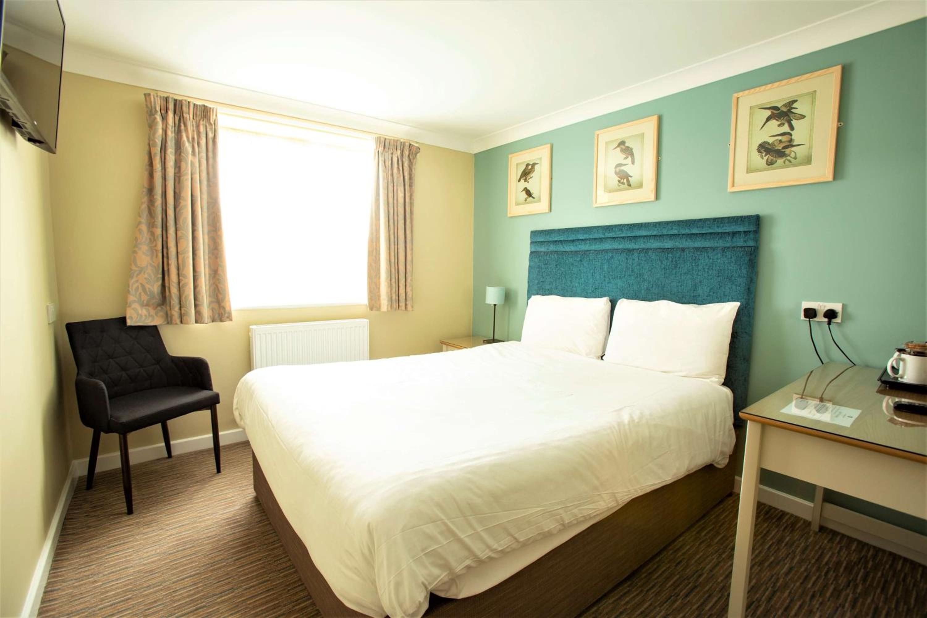 Cozy King Room - Non-Smoking - Photo 1
